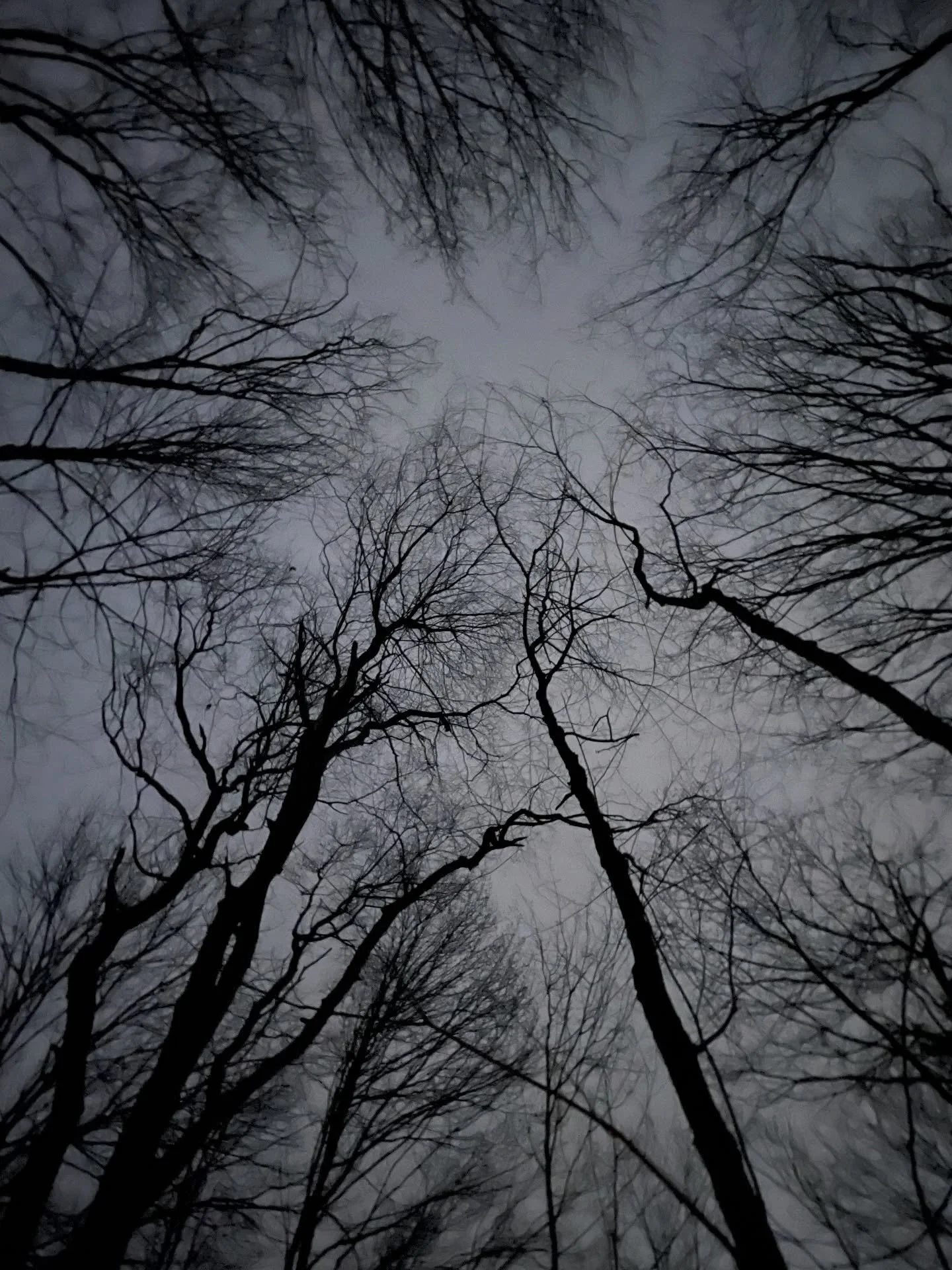 Night walk to see the full moon last weekend but the clouds were out. Still beautiful. 🖤