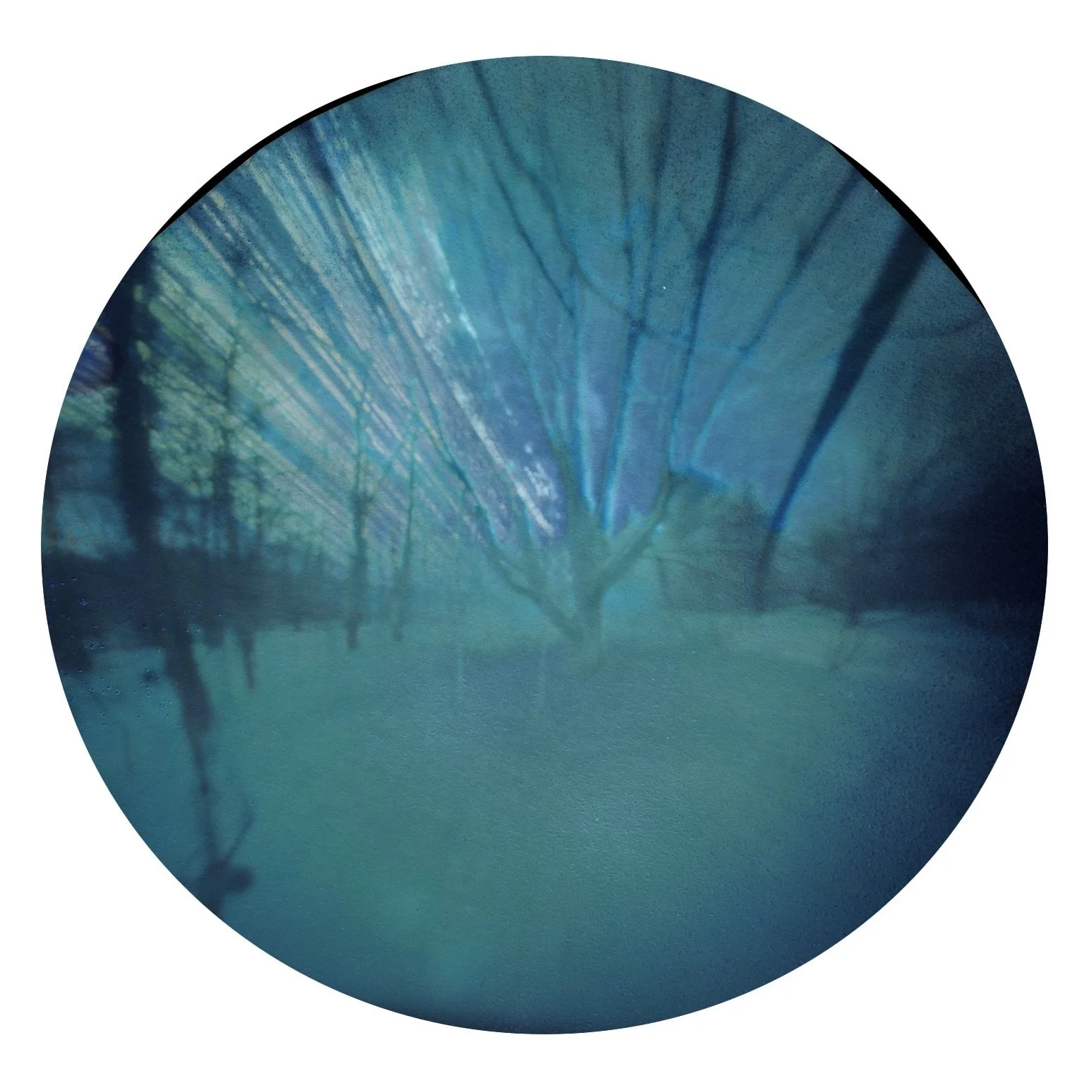 New pinhole exposed for over a year! May 1, 2025 to August 2, 2026. I was worried it would be wet and moldy but it&rsquo;s perfect ✨ love how light the ground is because of all the snow last winter.

I&rsquo;m excited to be teaching a Pinhole Photogr
