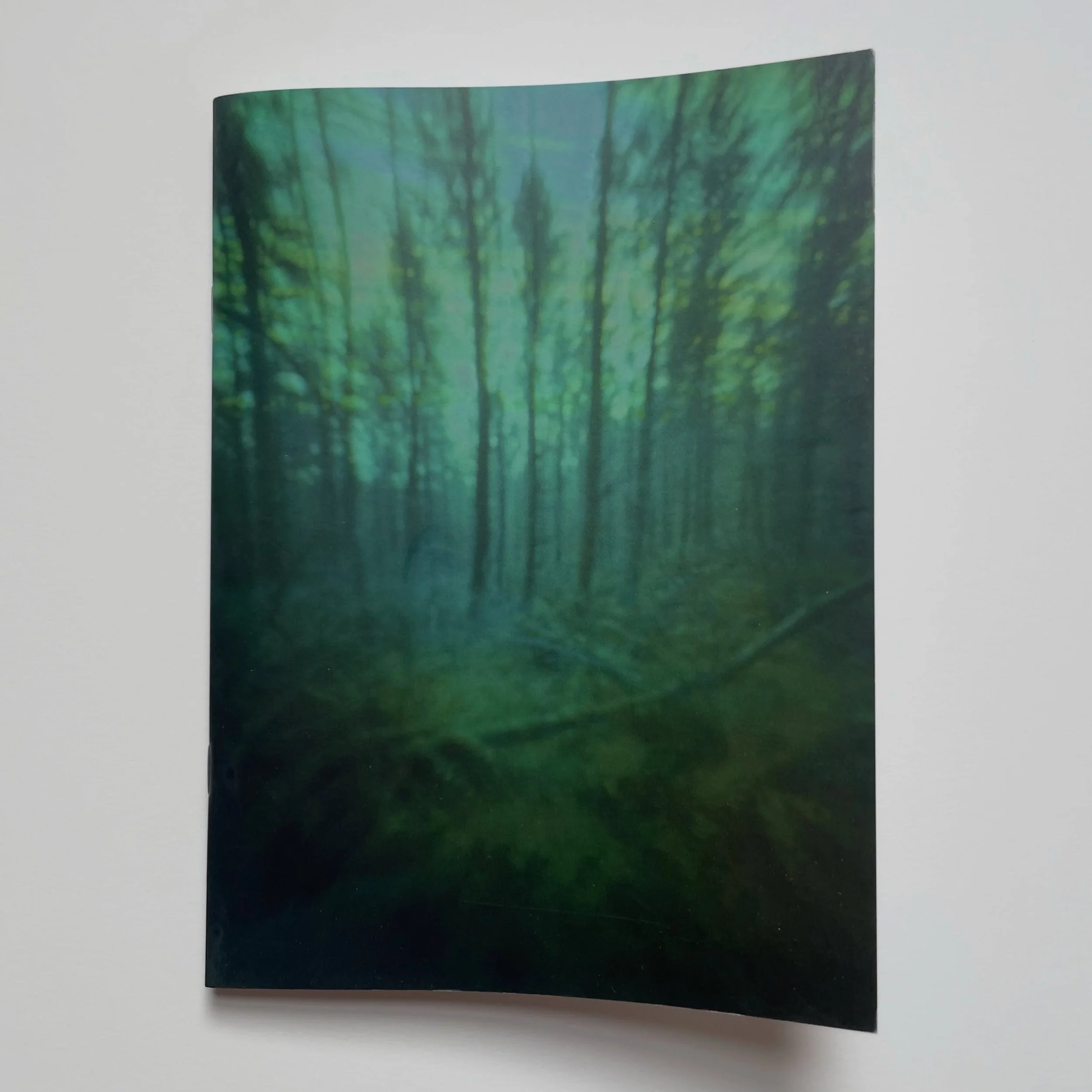 I&rsquo;m releasing a new zine this Thursday at the opening of Spectral Lineage @theseattlelightroom - come and get it! $20

What is a ghost?
Utilizing photography, I search. Long exposure pinhole images capture months in one image, forcing time to s