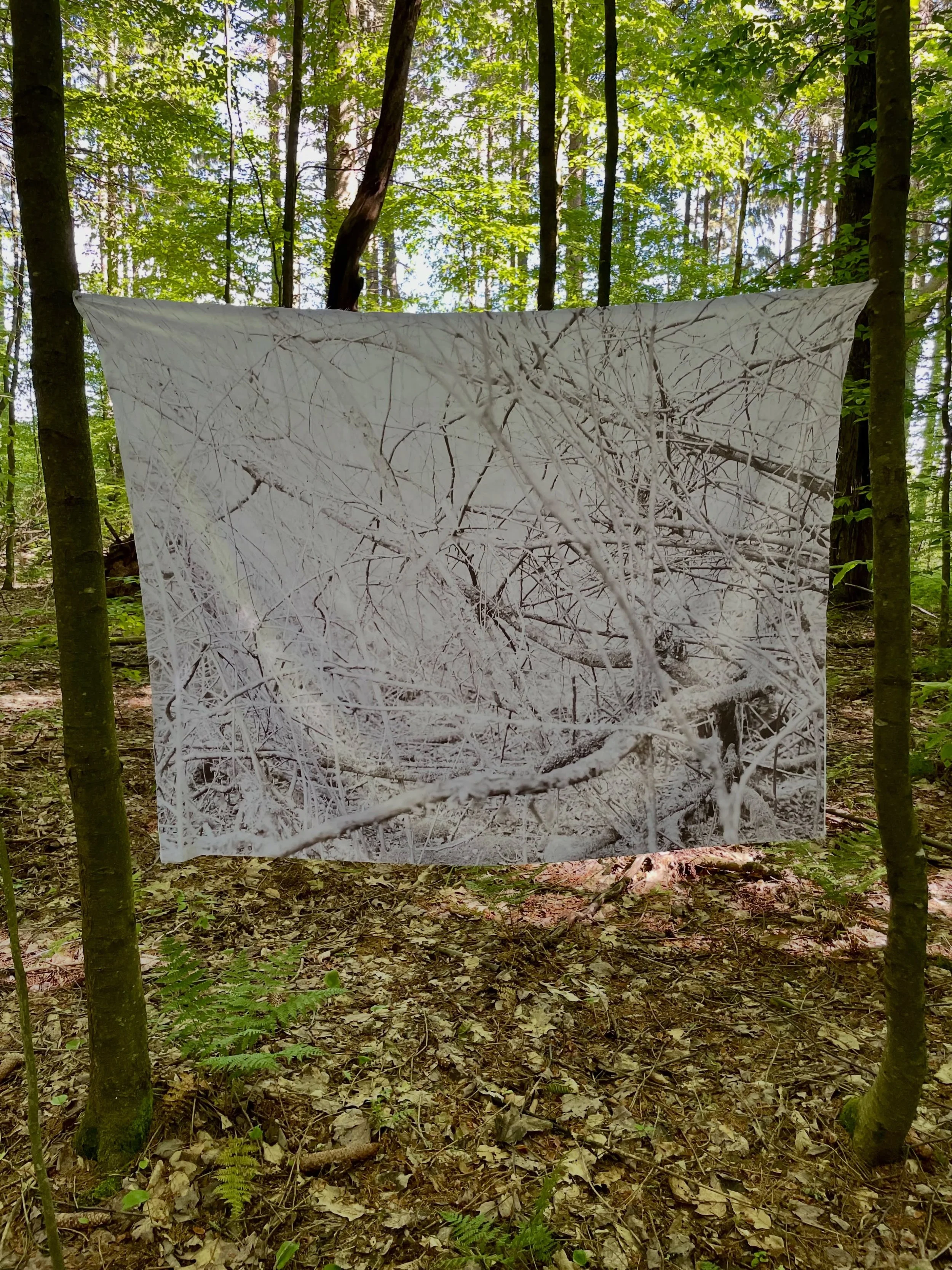 My work Ghost of Winter is up for one more day in @butternutvalleyalliance&rsquo;s On the Trail of Art! Come out to the forest gallery today at General Jacob Morris State Forest 10-4pm. Lots of beautiful work to see! 

#ghosts #artintheforest #onthet