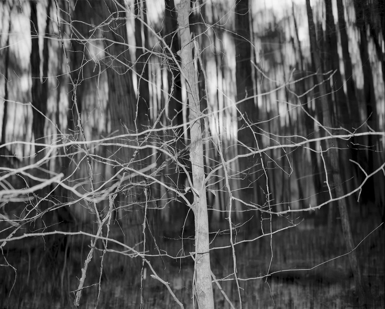 what is a ghost-9.jpg