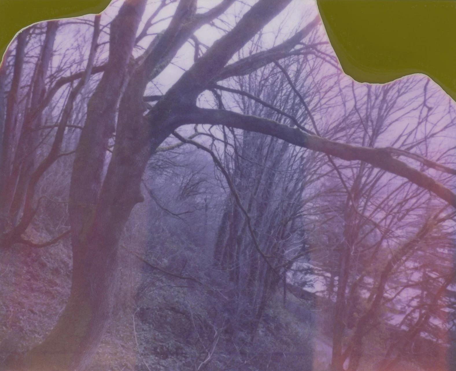what is a ghost-12.jpg
