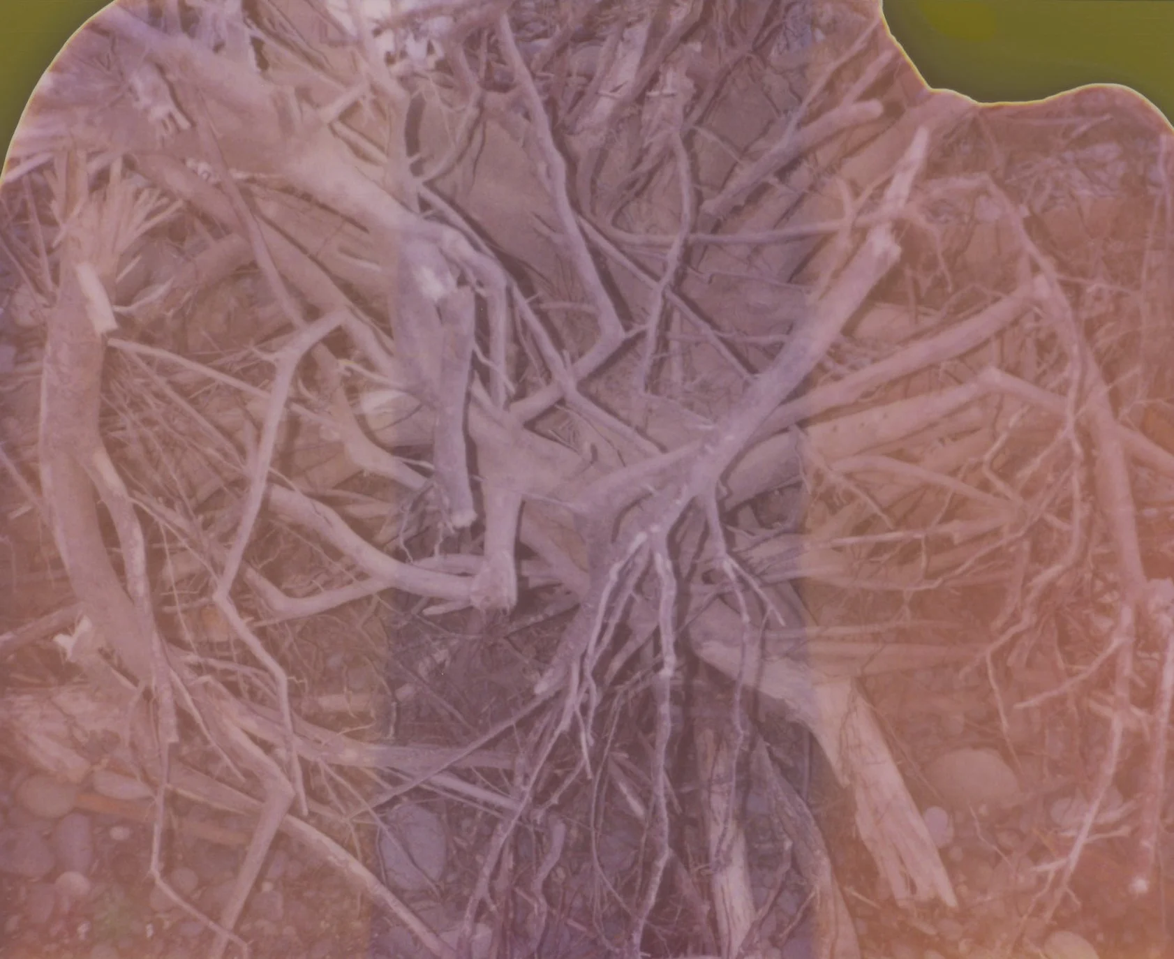 what is a ghost-3.jpg