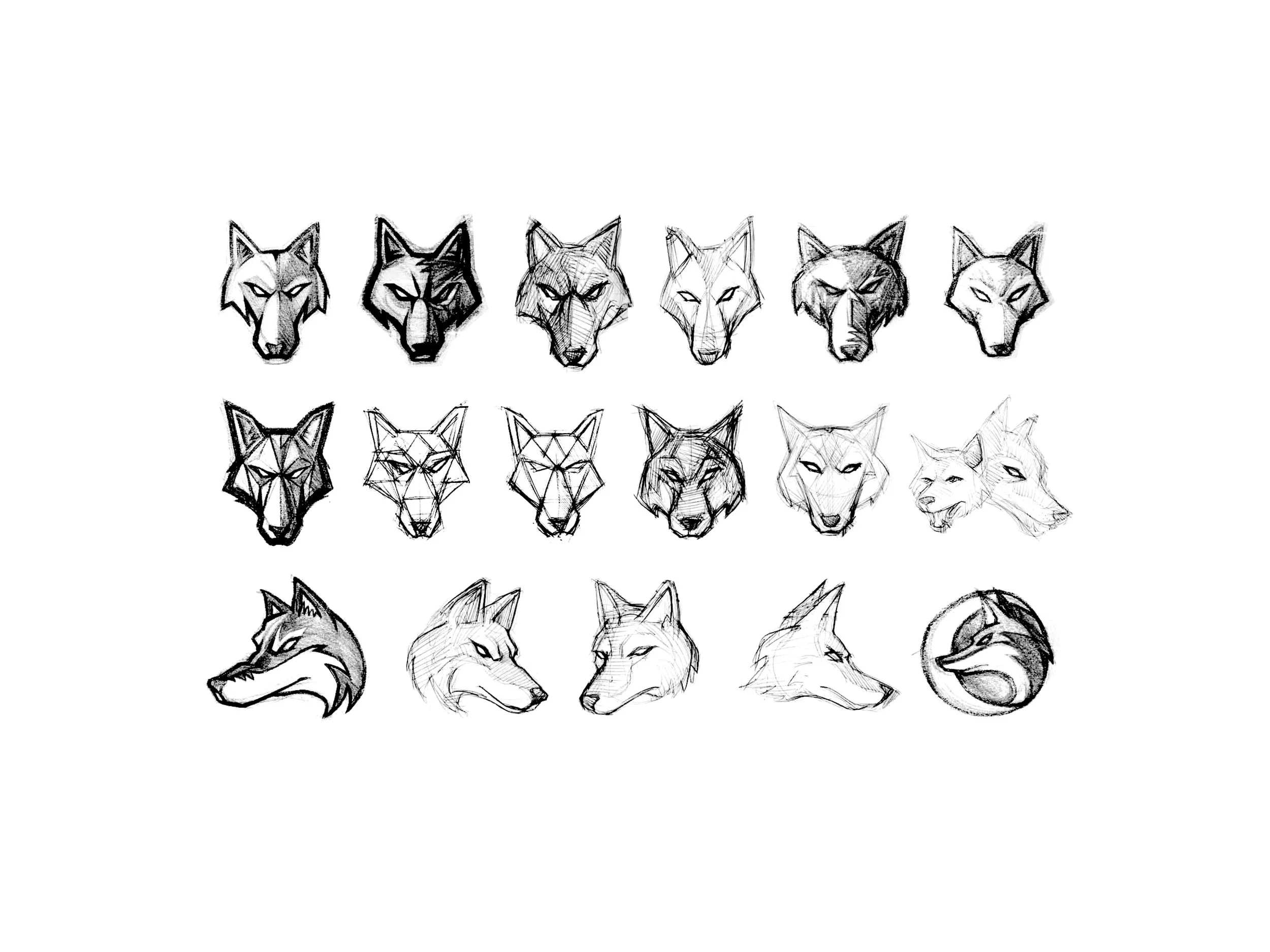 coyotes_sketches_qb_2018.jpg