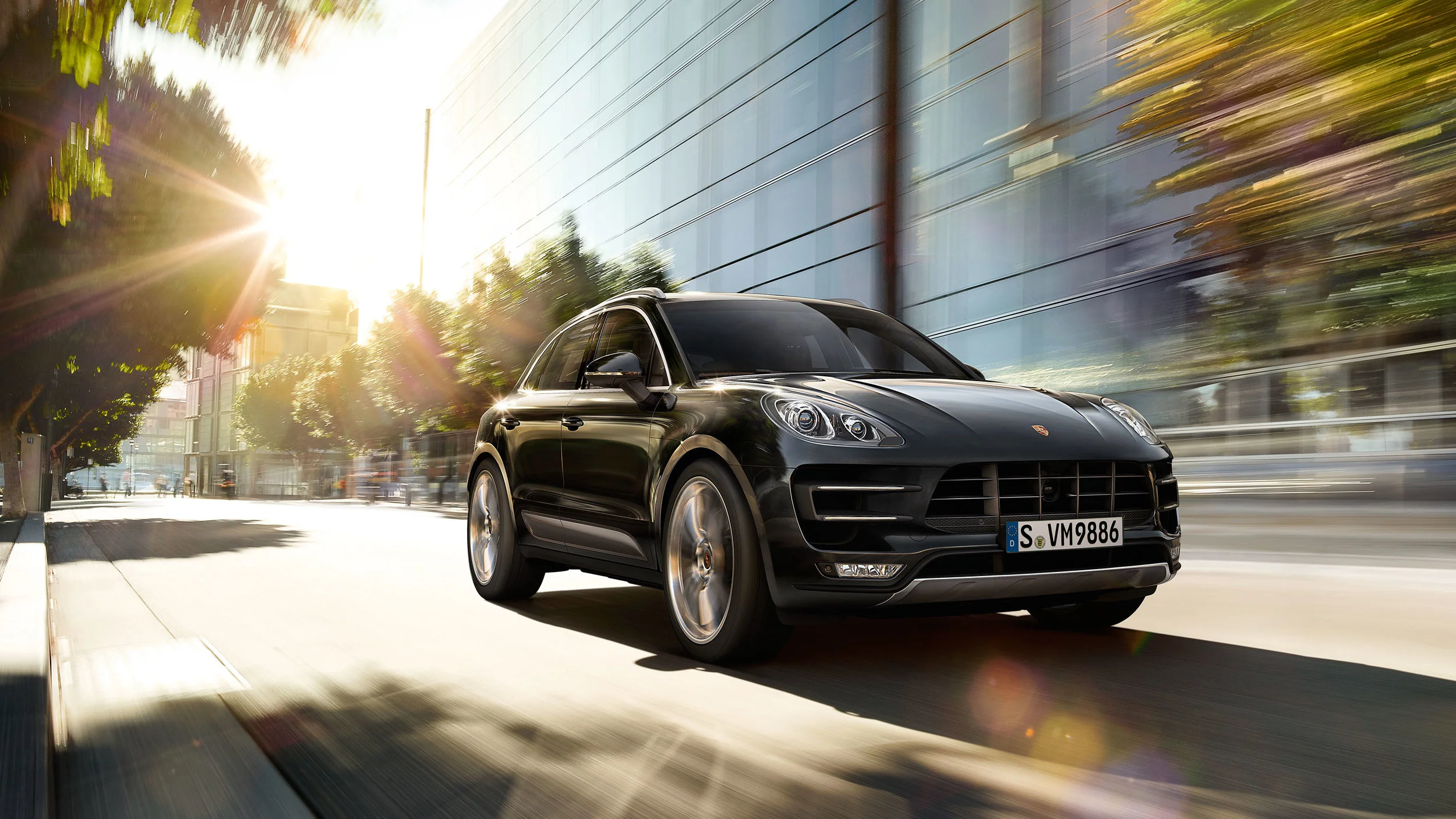19-macan-1.jpg