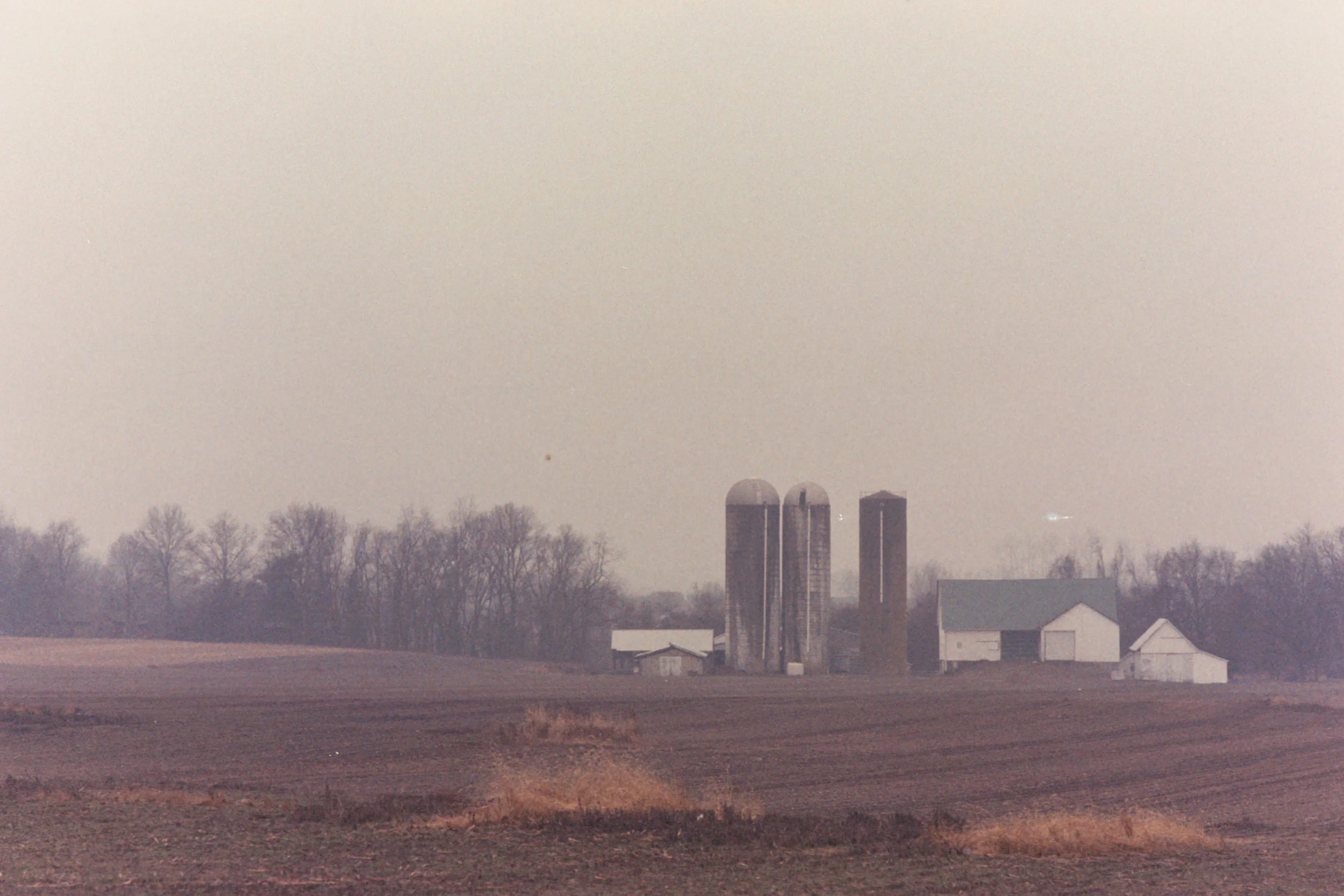 Farm_Field_1.jpg