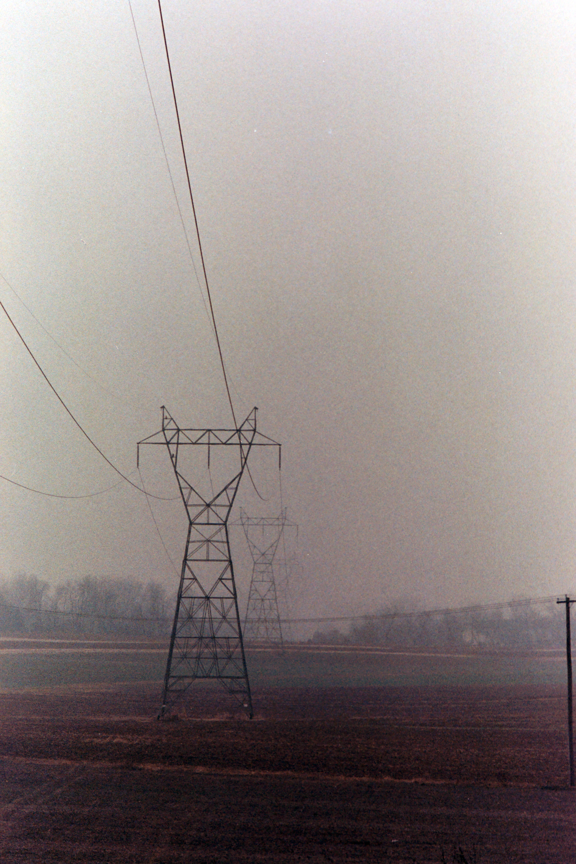 Farm_Field_2.jpg