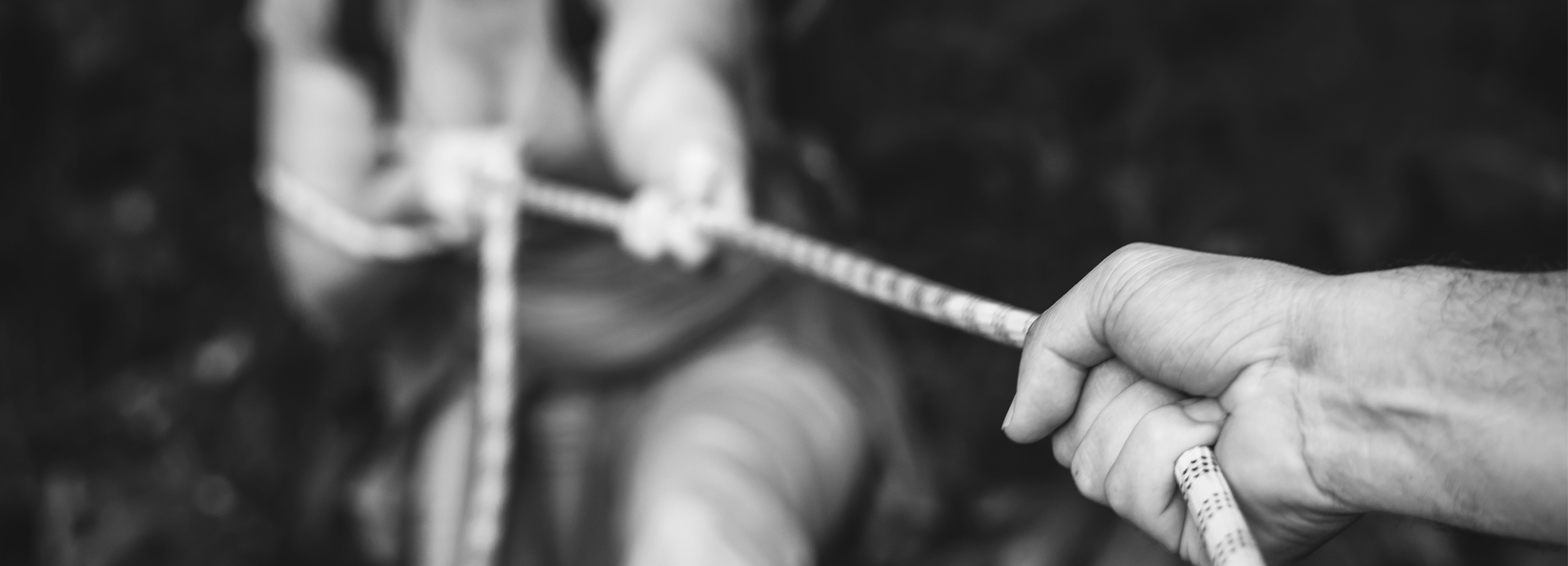 Detail of photo by rawpixel.com from Pexels