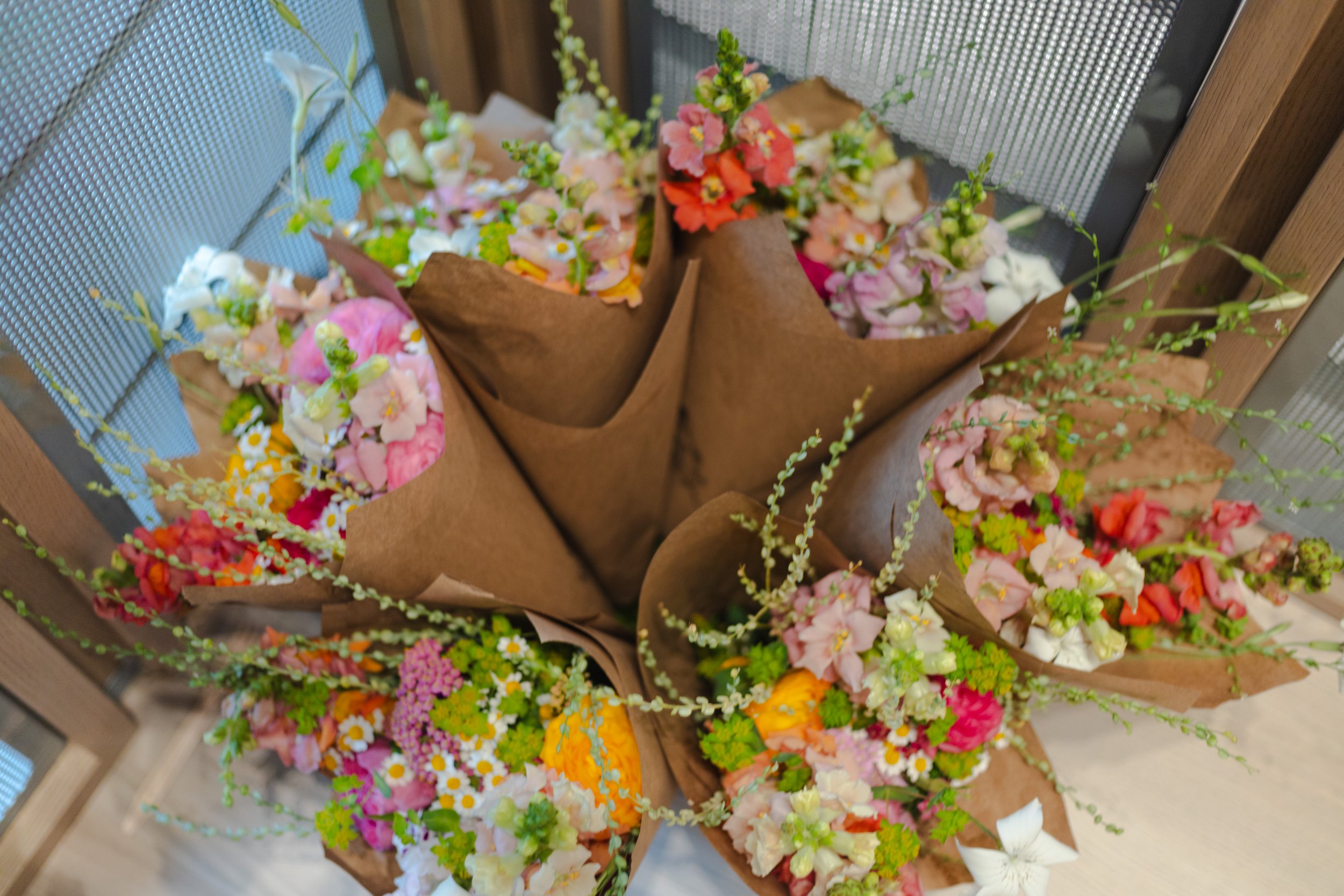 Dream Cuisines 2025-7158.jpg