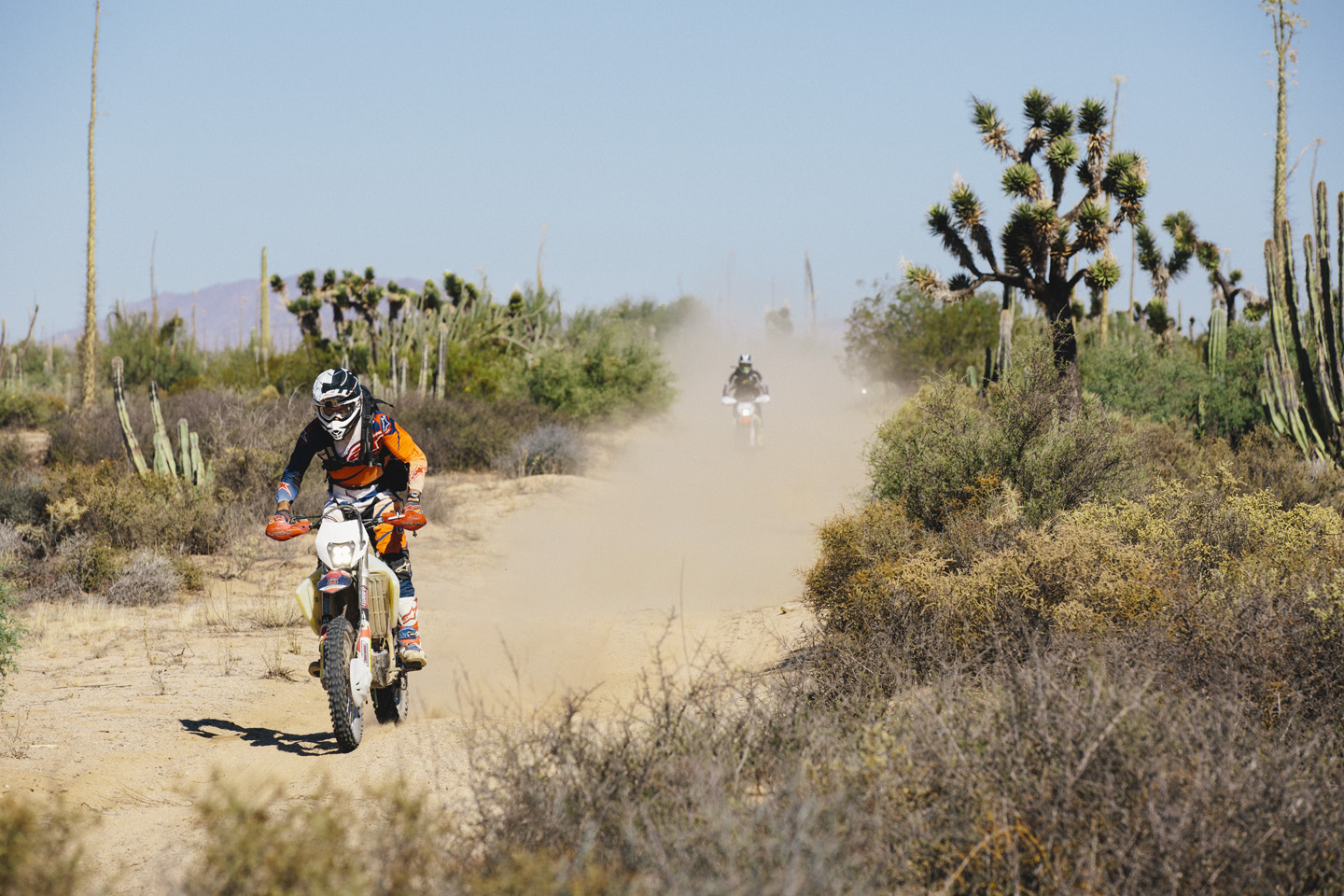 lost and found in baja