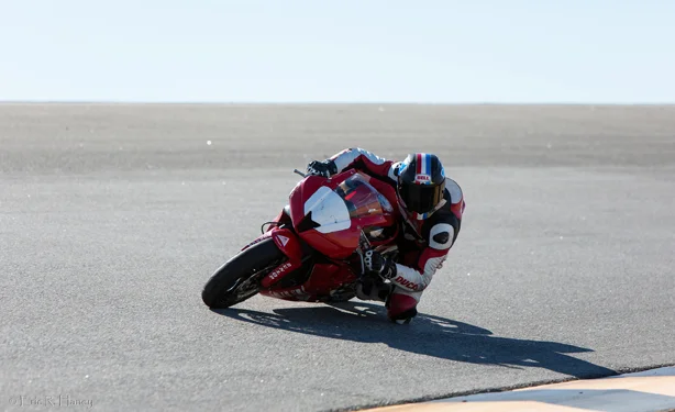 Chuckwalla_small2015.jpg