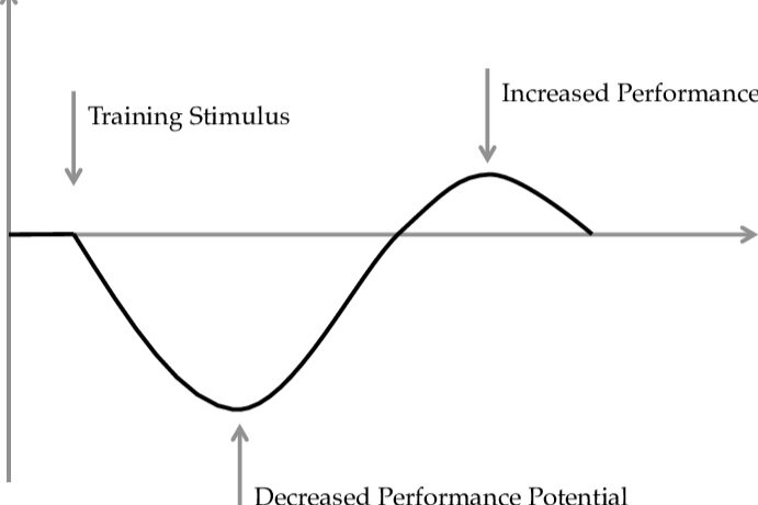 The-principle-of-supercompensation-through-training-The-performance-potential-level-of.jpg