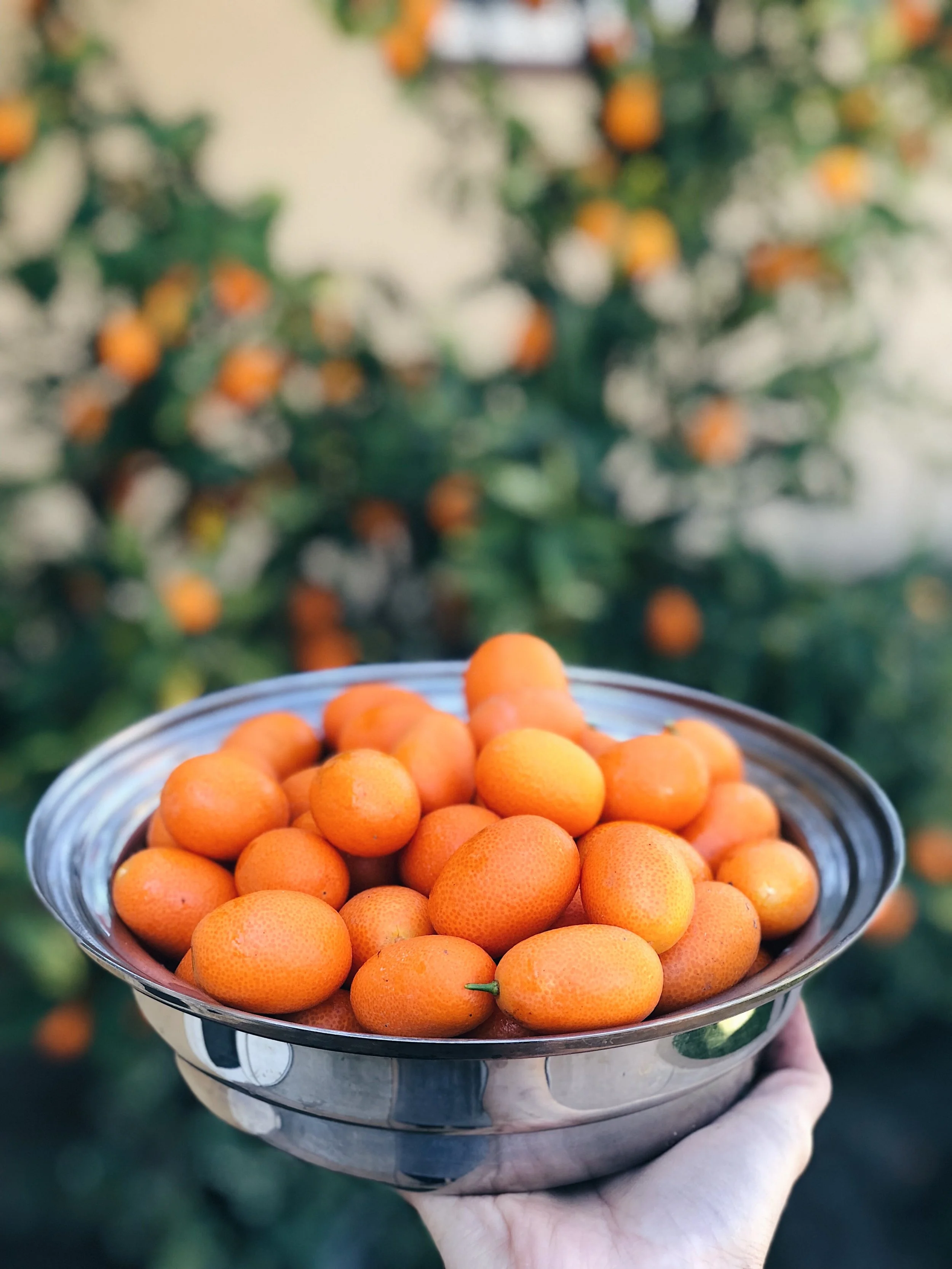 Kumquat Marmalade