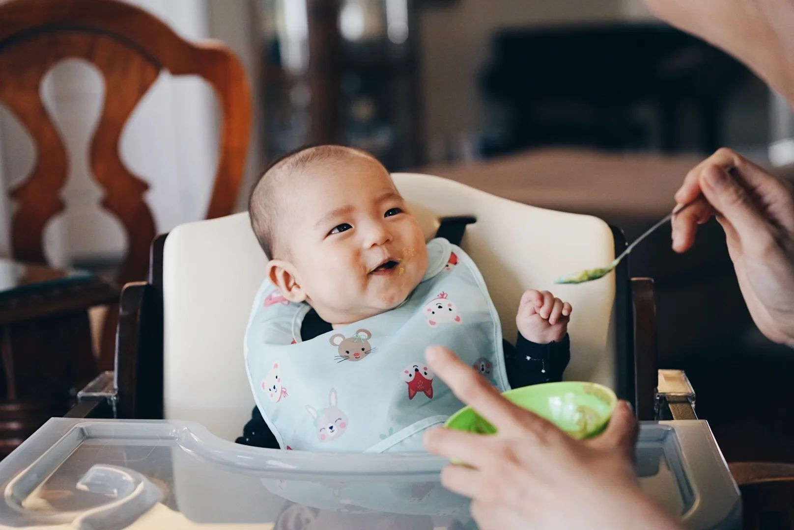 Avocado the Perfect First Food for Baby