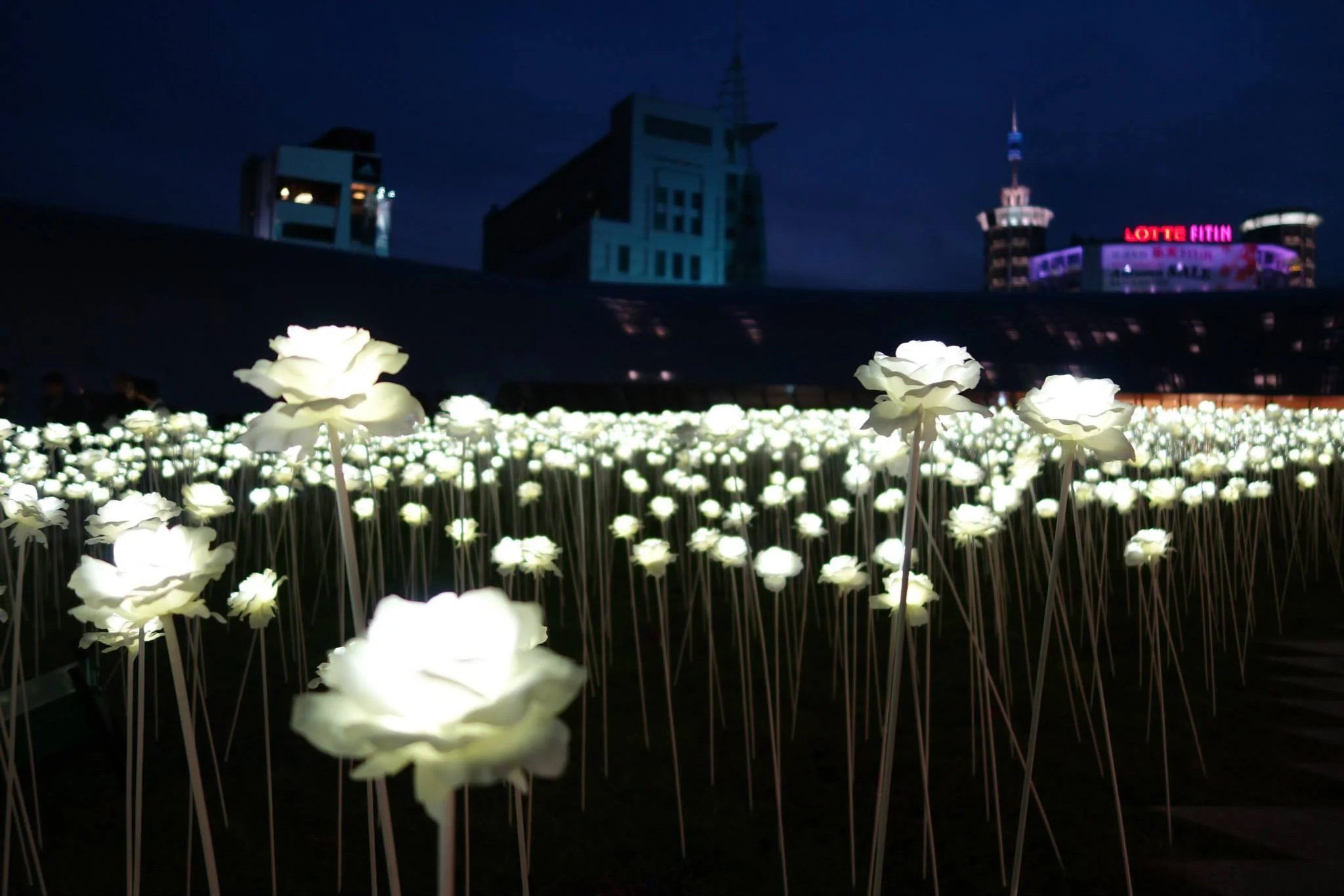 LED flowers light up after the sun sets making it magical at night