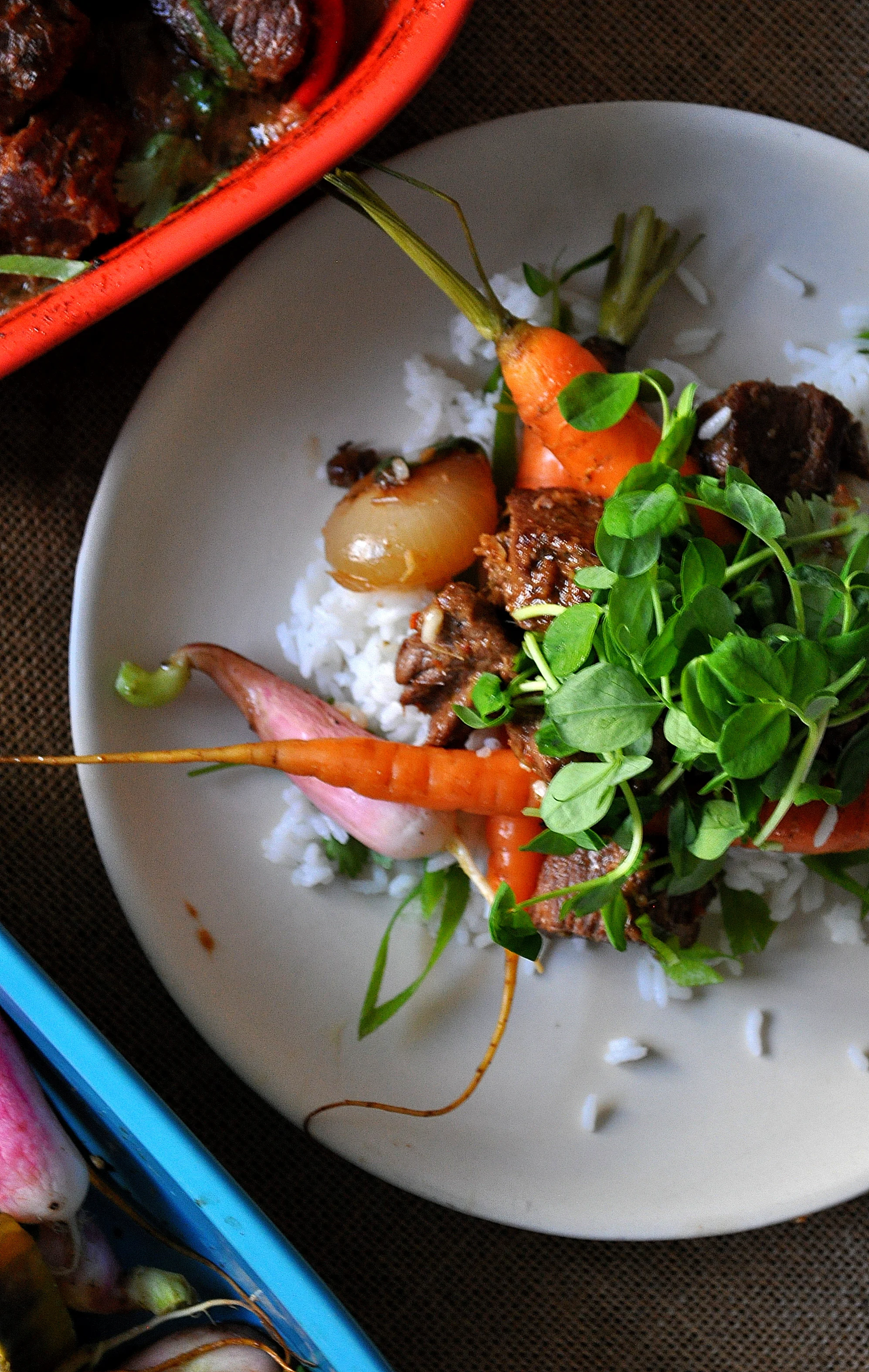Lemongrass Beef Stew with Roasted Root Vegetables