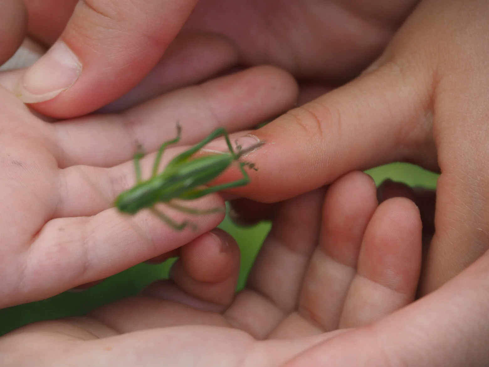 Hände und Hüpfer.jpg