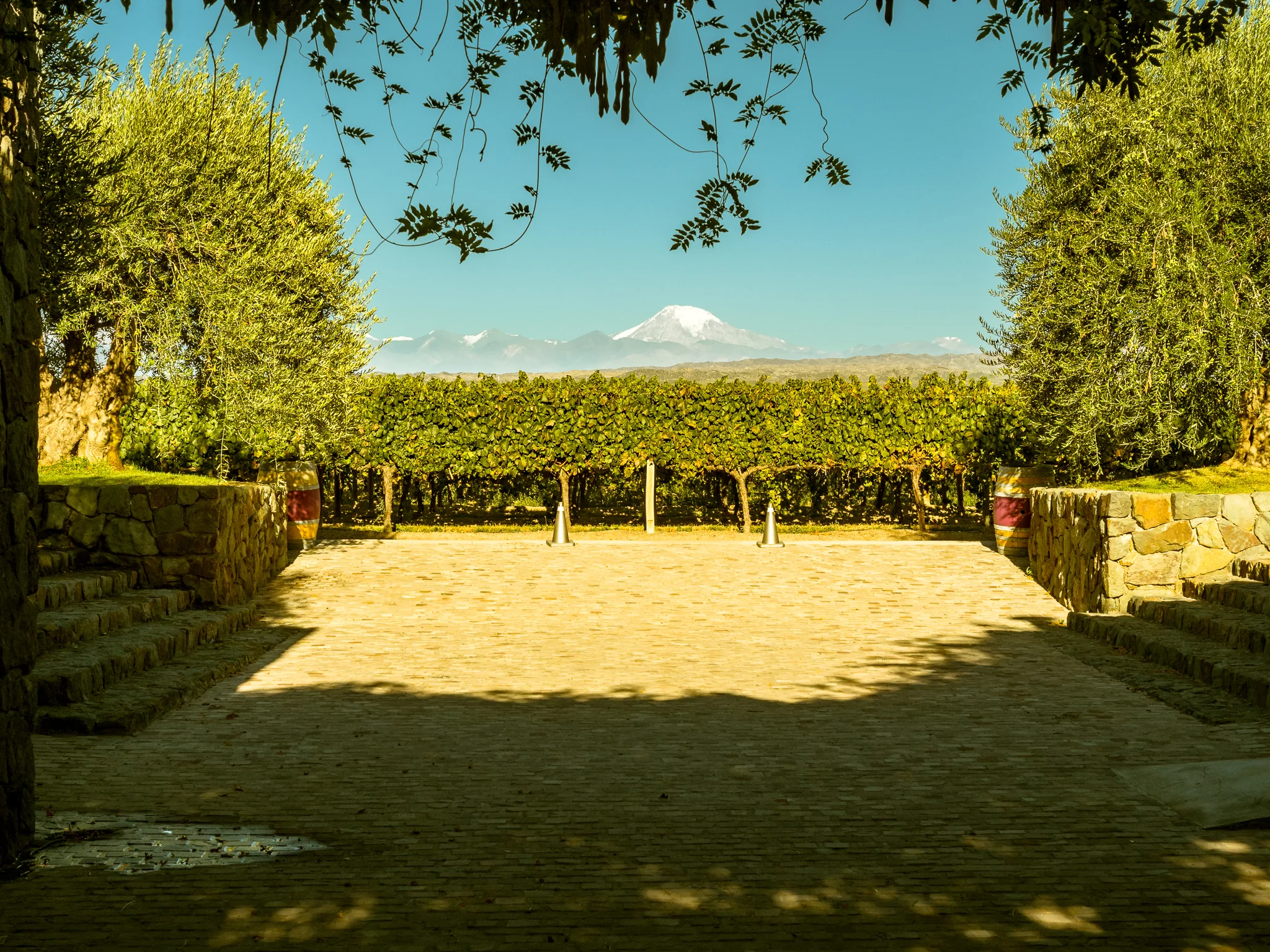 Mendoza