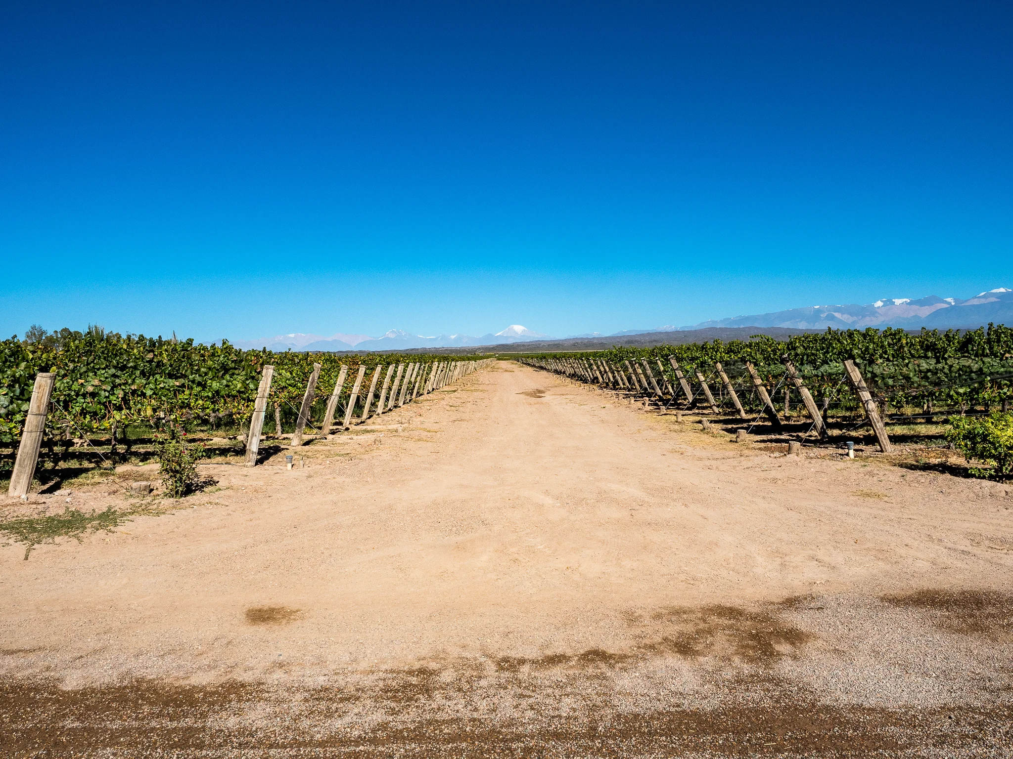Mendoza