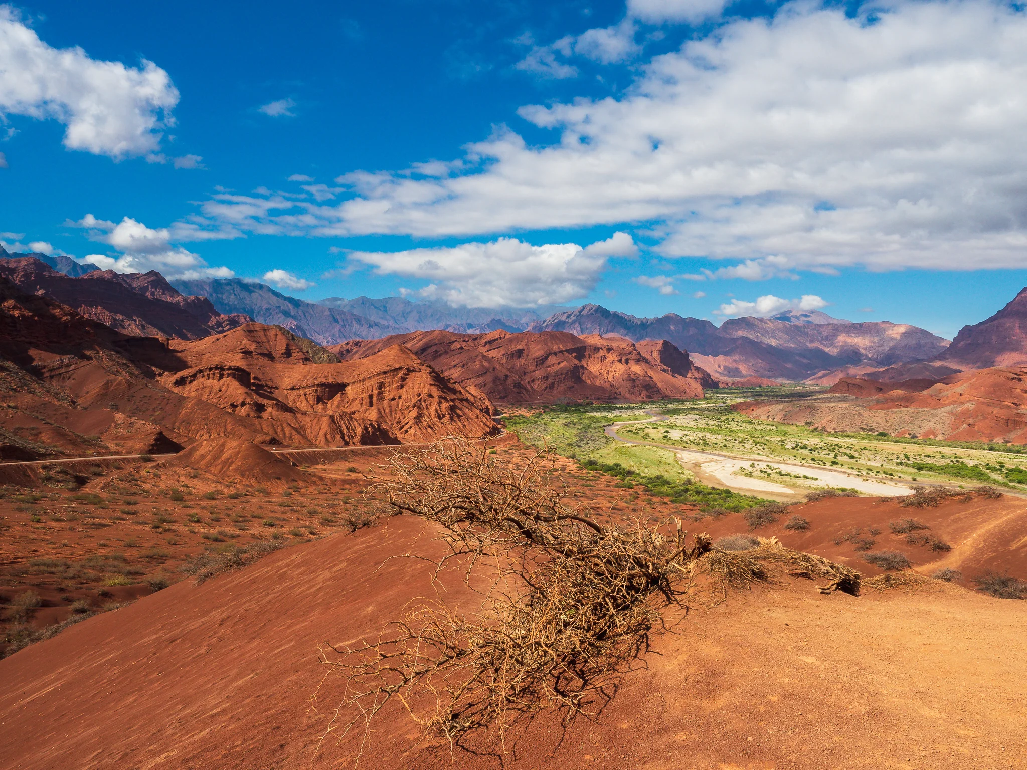 Cafayate