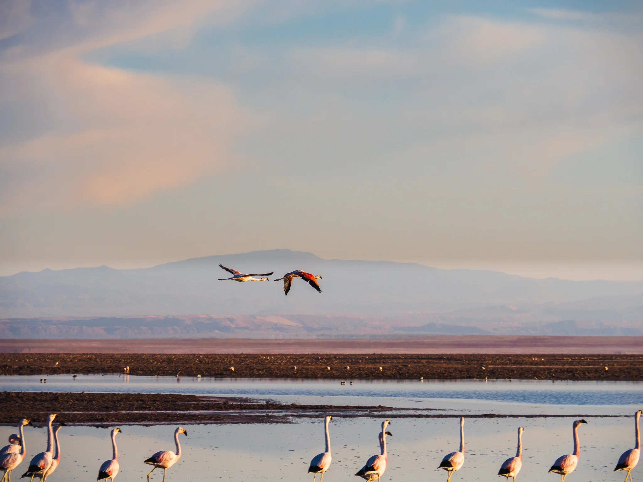 Atacama Desert