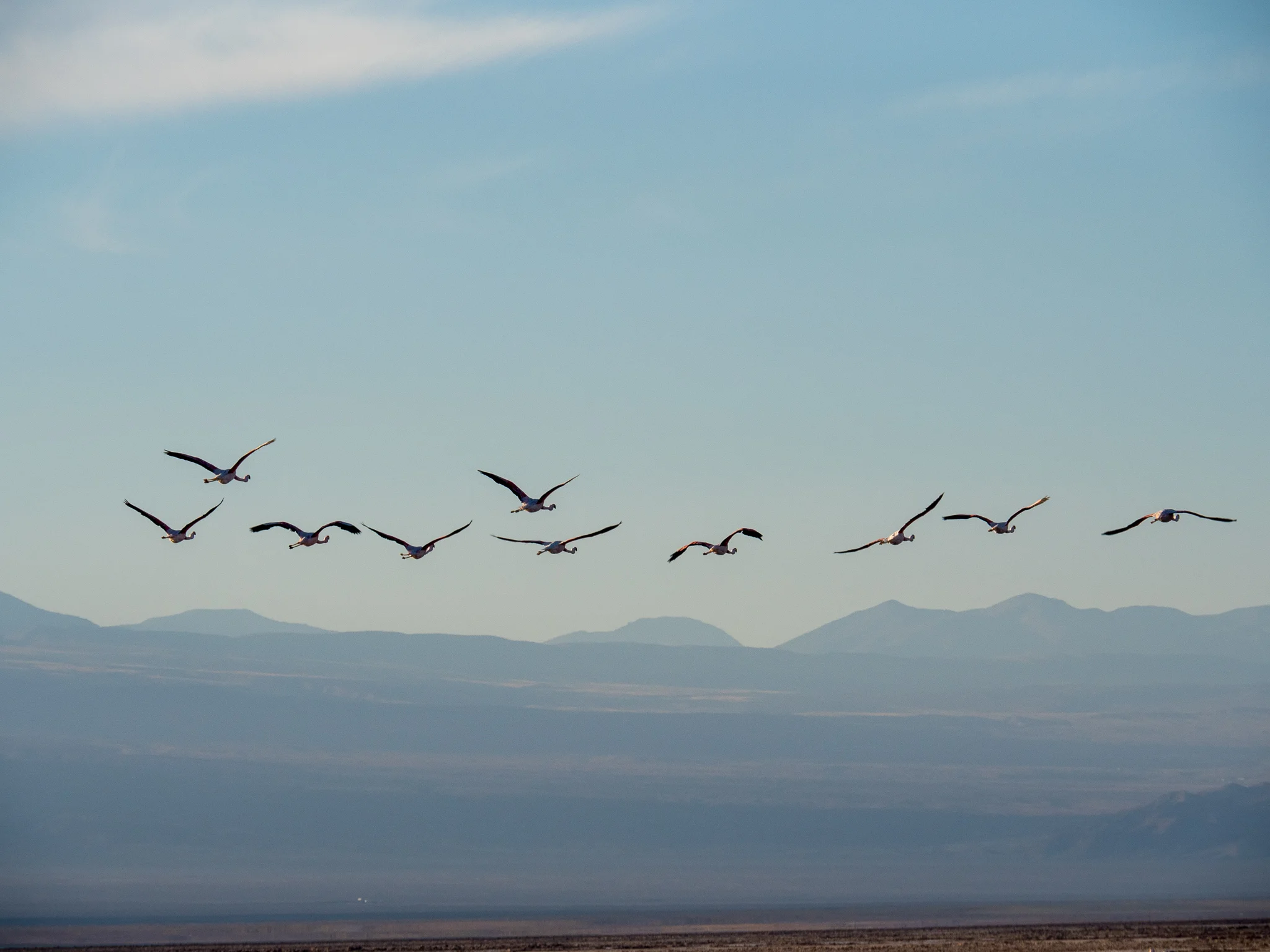 Atacama Desert