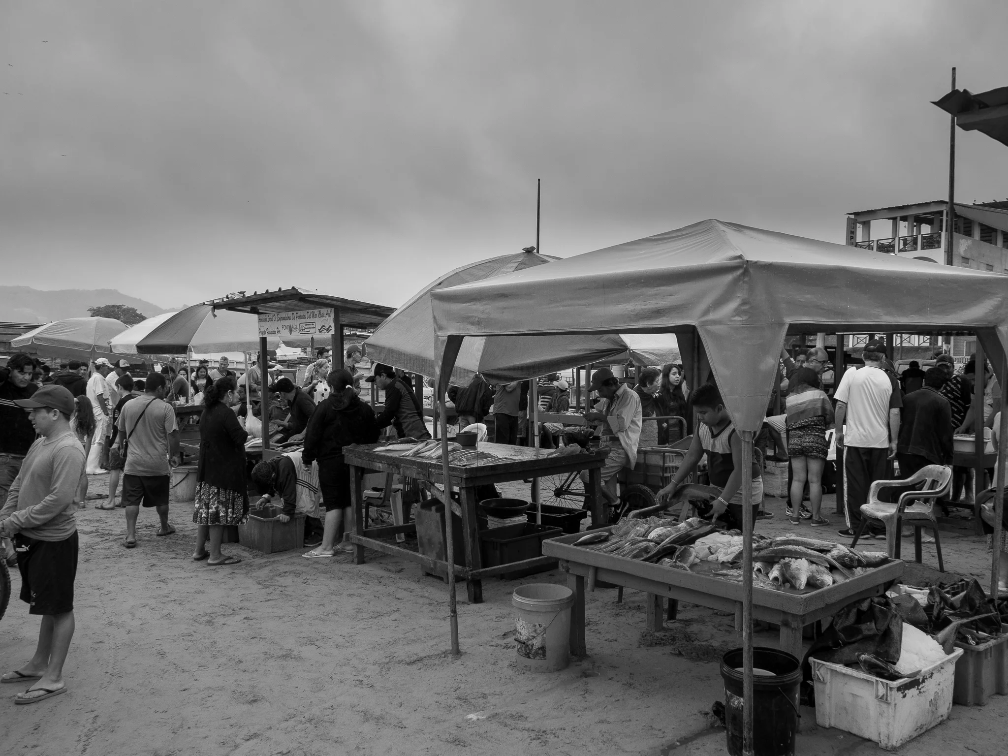20180811-P8110620.jpg
