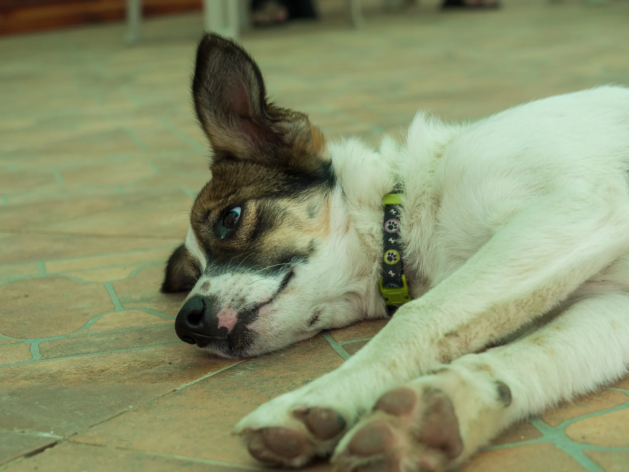 20180812-P8120034.jpg