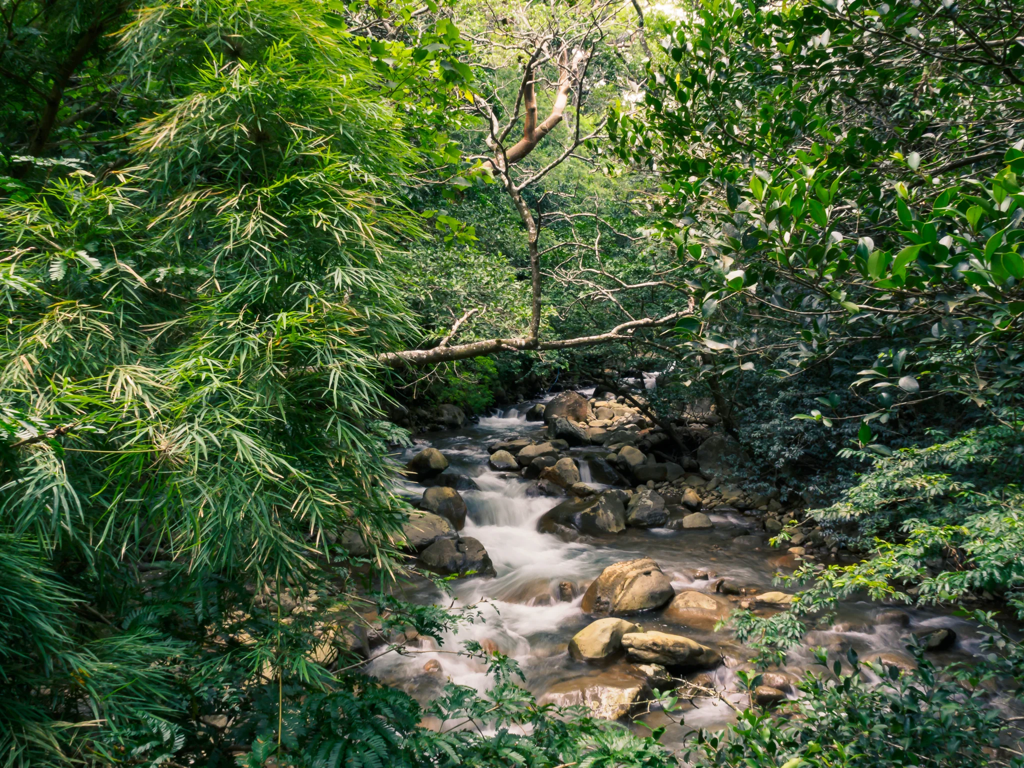 20180817-P8170201.jpg