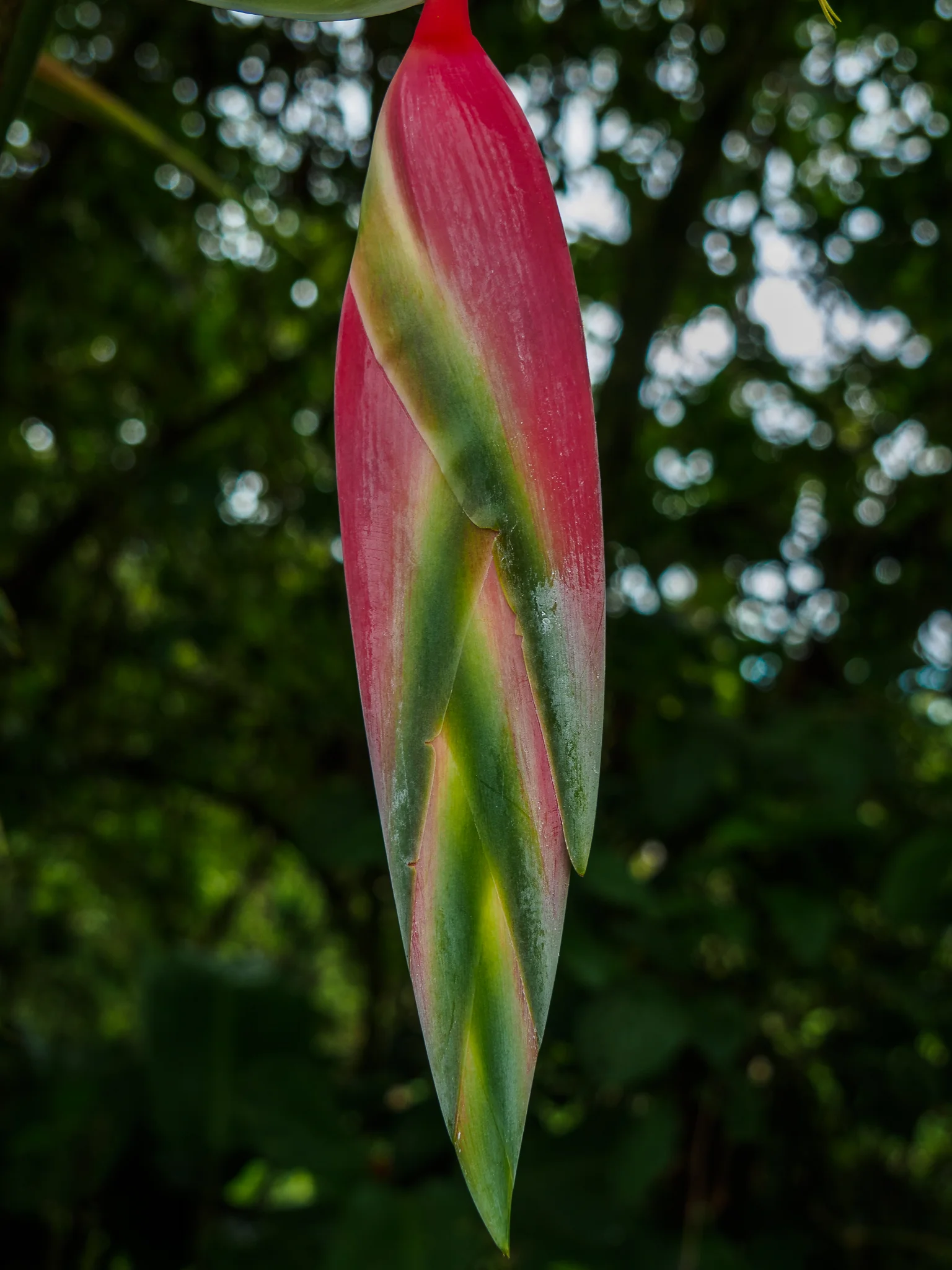 20180829-P8290408.jpg