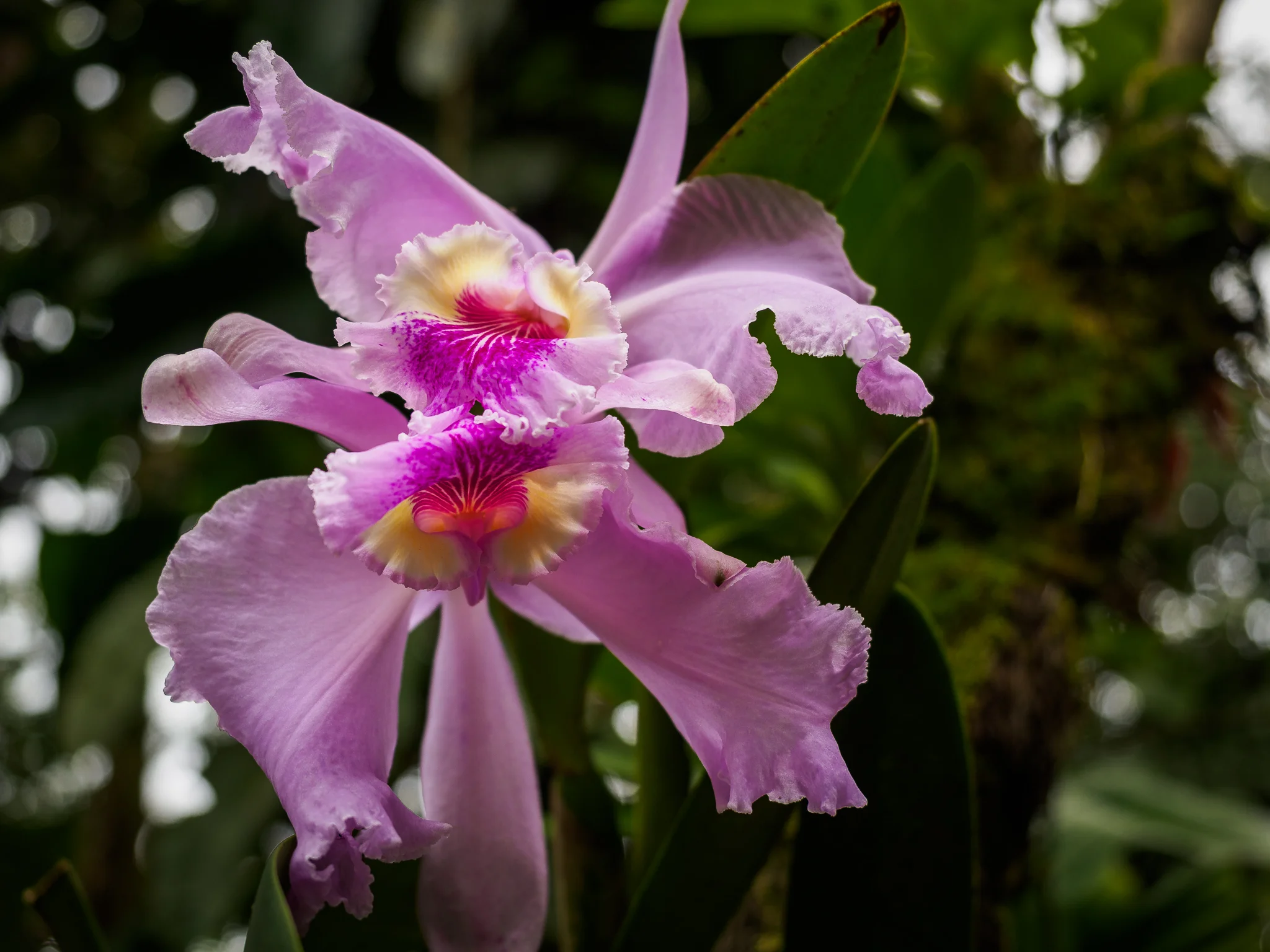 20180831-P8310475.jpg