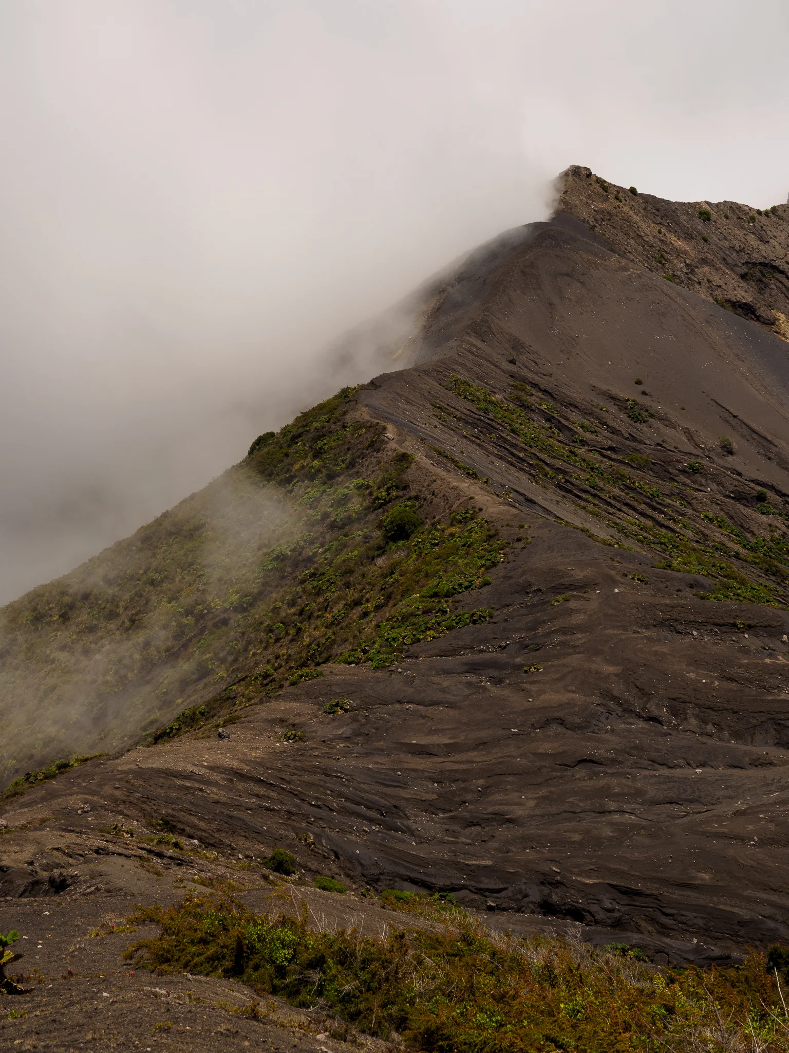 20180911-P9110565.jpg