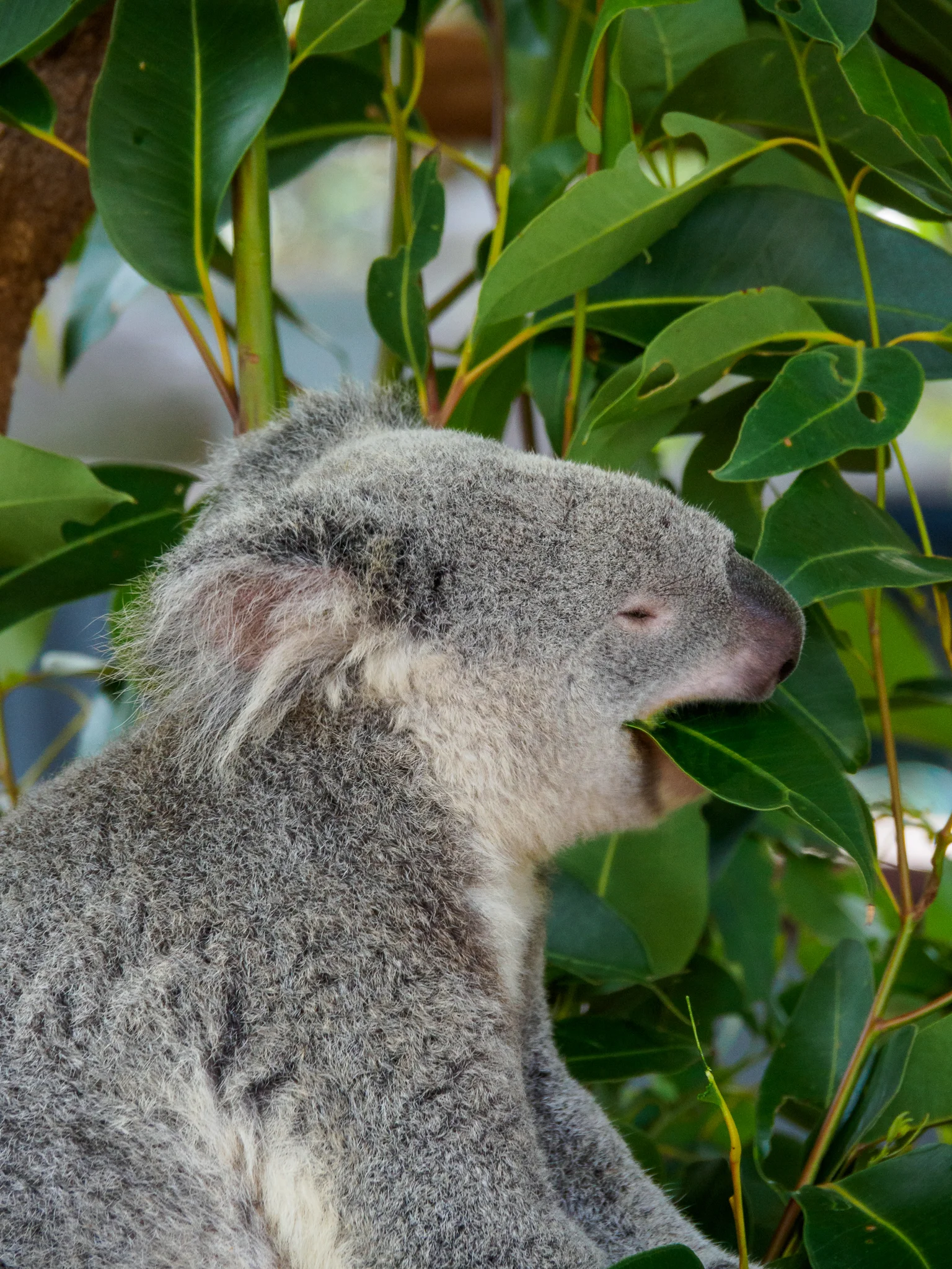 20190320-A3200059.jpg