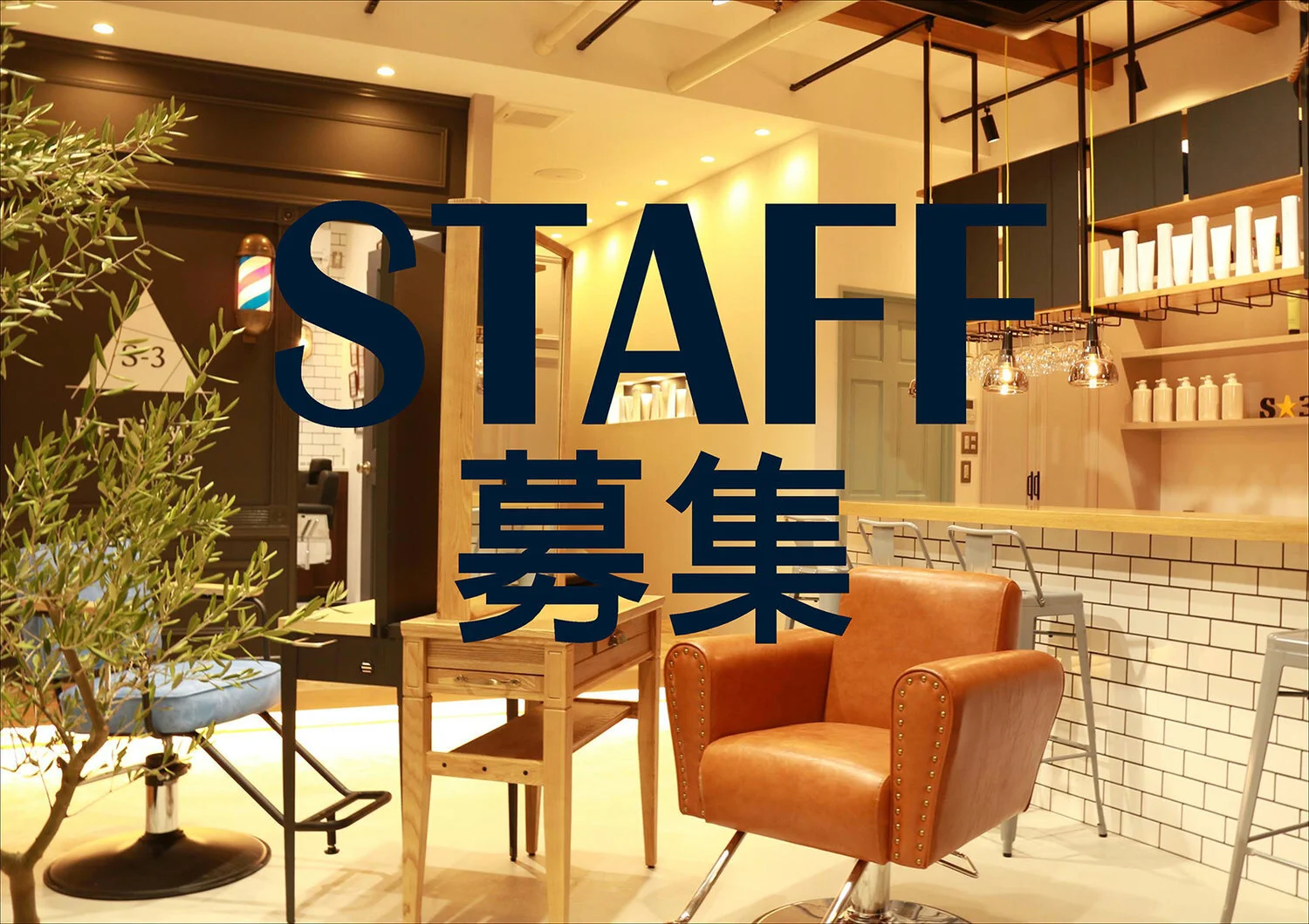 STAFF募集 