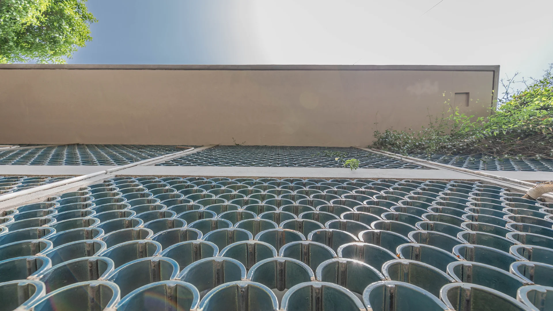 Ford Foundation
