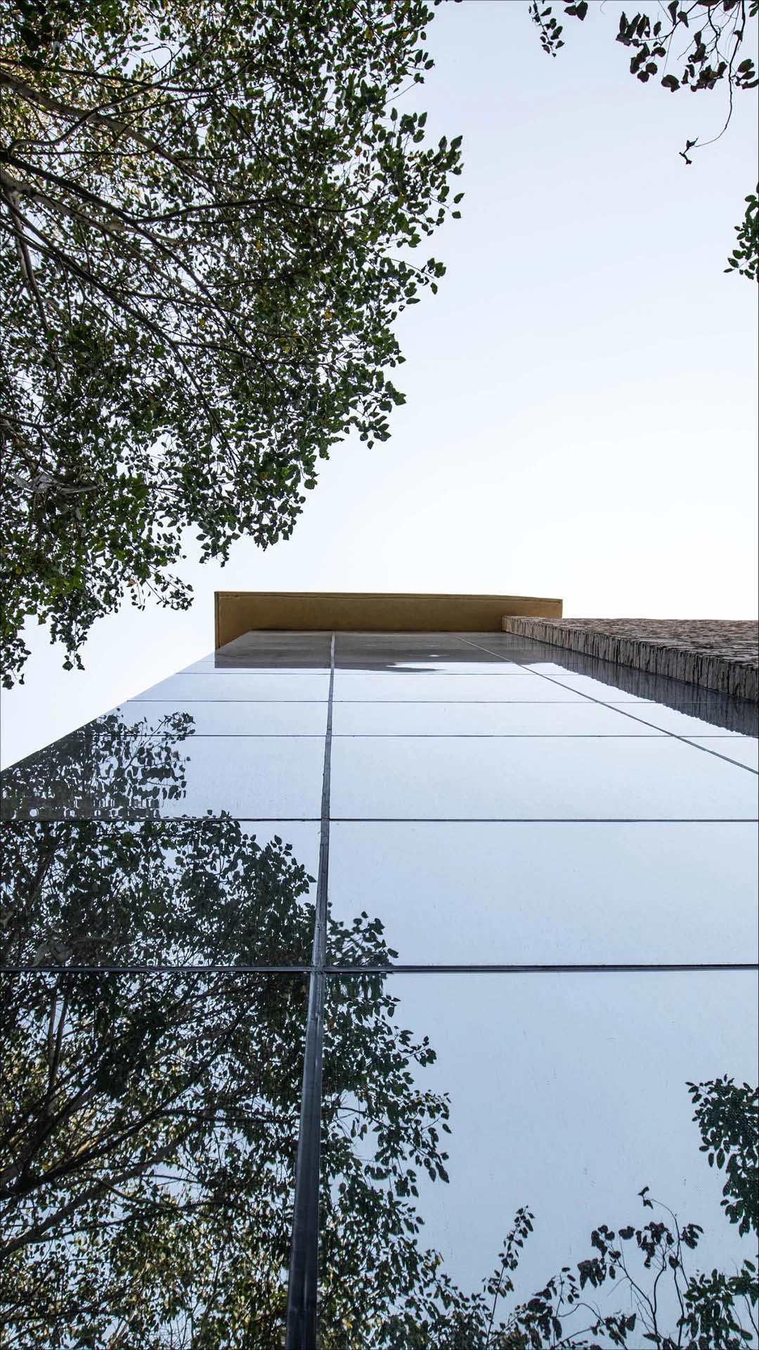 AIMA vertical.jpg