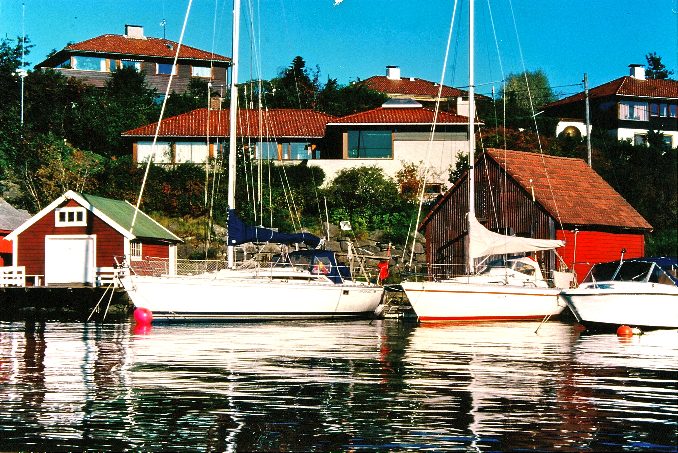 0867_002.jpg