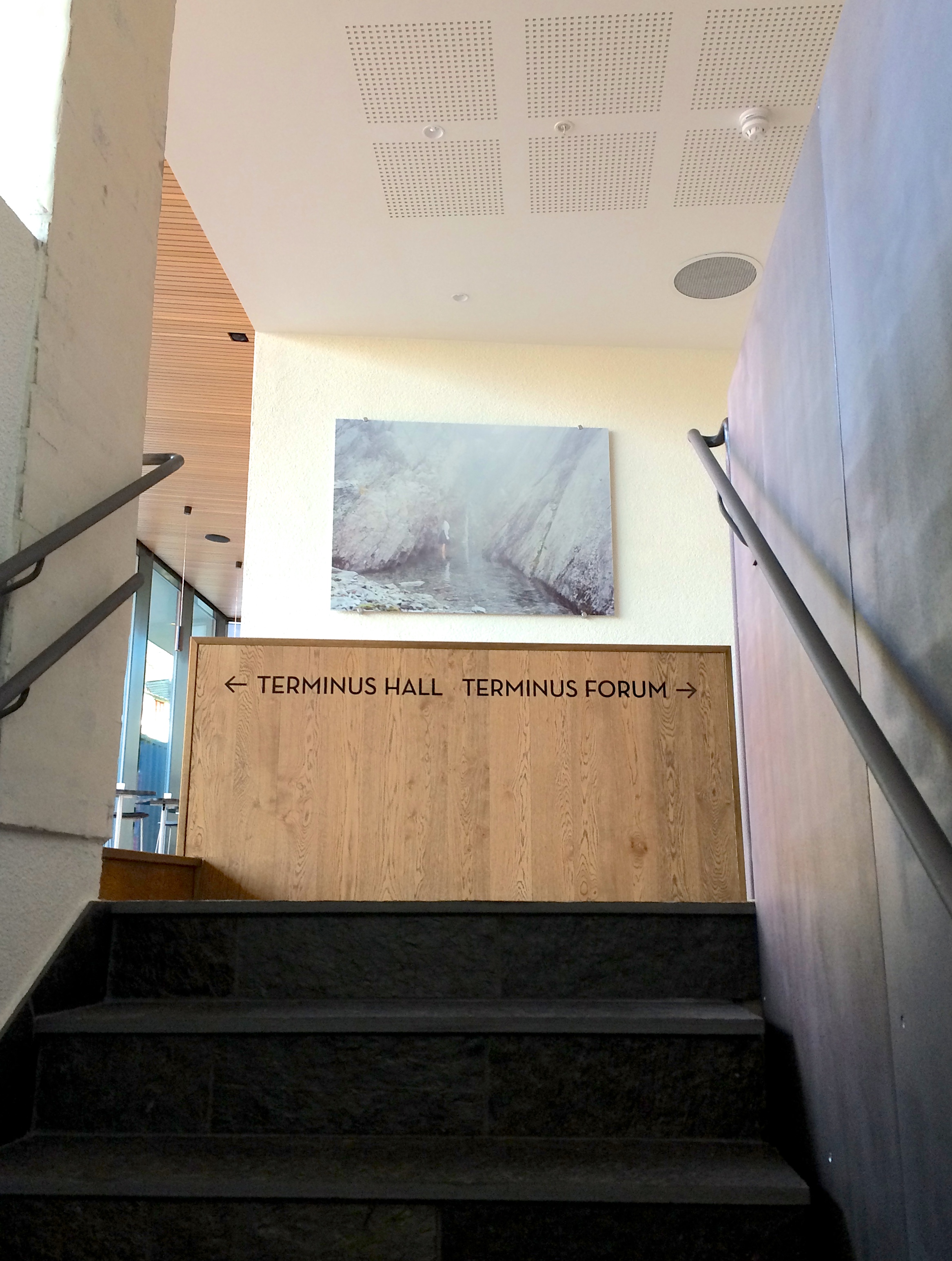 39 Kunst Tonje B. .jpg