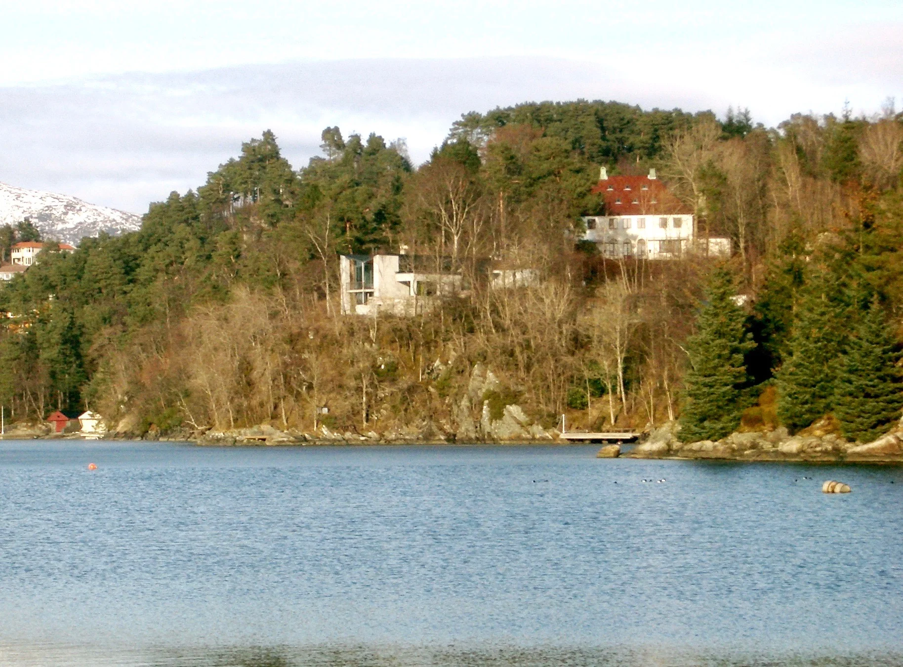 CIMG0336.jpg