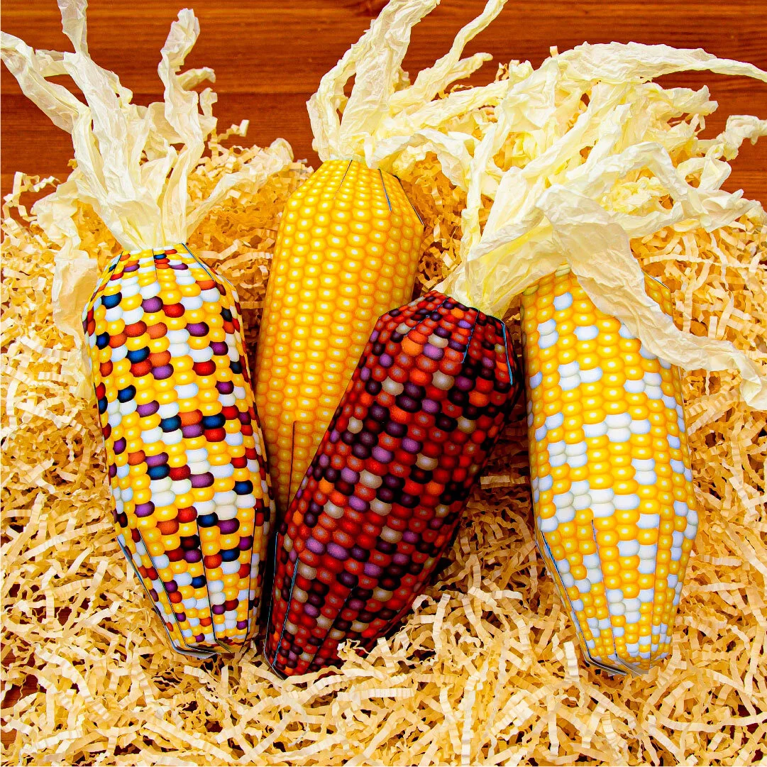 Corn_5.jpg