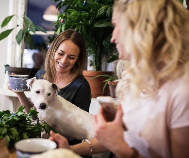 fika.jpeg