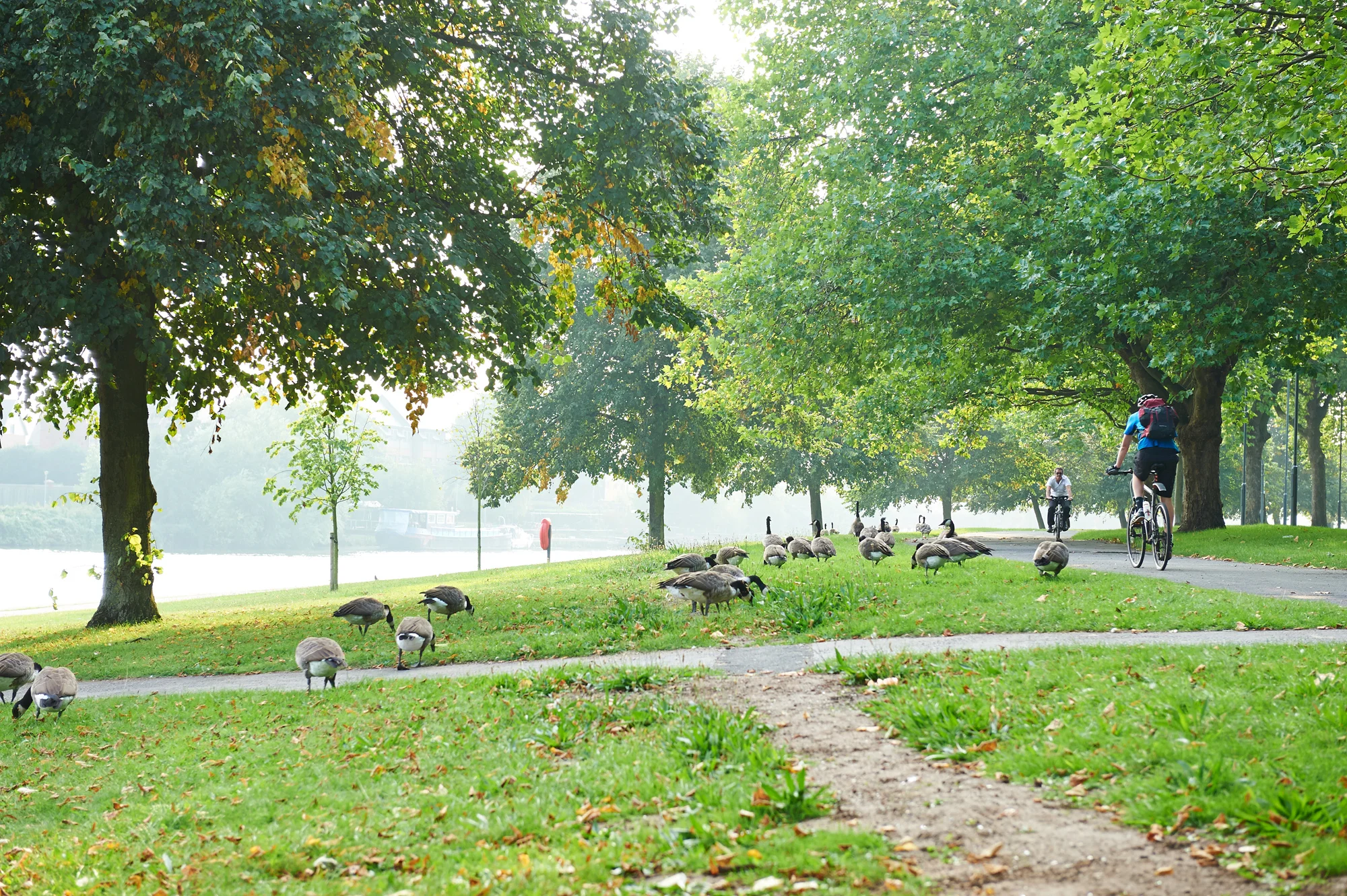 The-Meadows_706.jpg