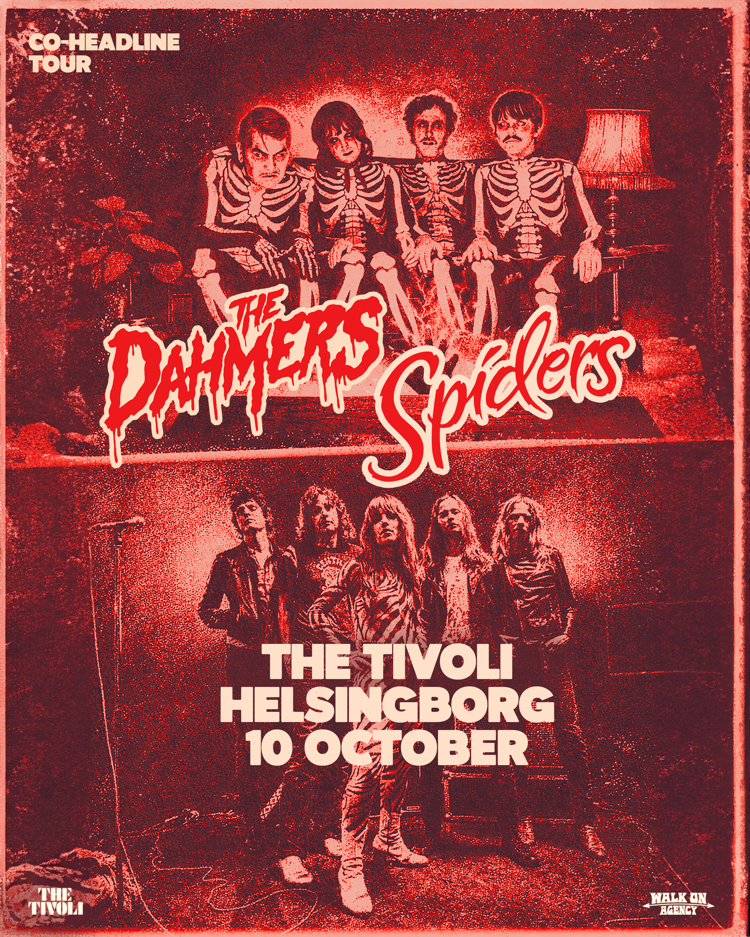 SPIDERS &amp; THE DAHMERS 