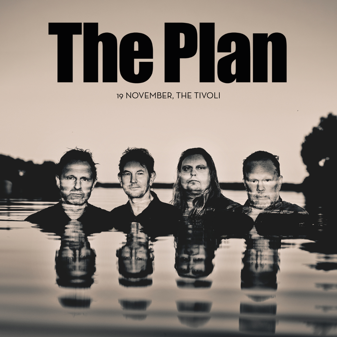 THE PLAN + Support Your Local