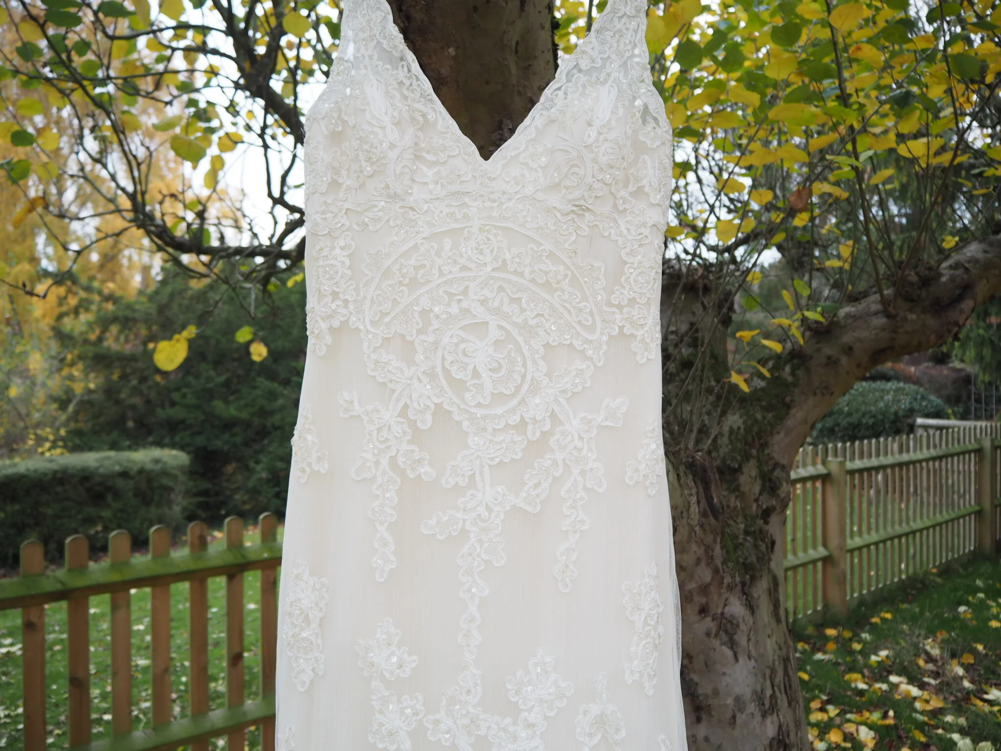 [FOR HIRE] Pronovias "Higuera" Gown 