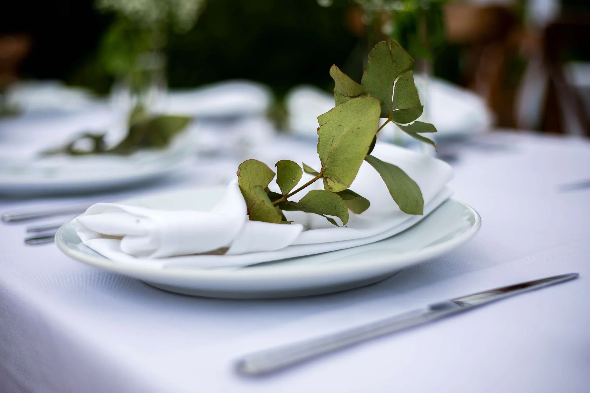 Elegant Egyptian Engagement Party