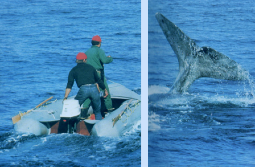 Echo Location Music Oct. 23 at 3 p.m.