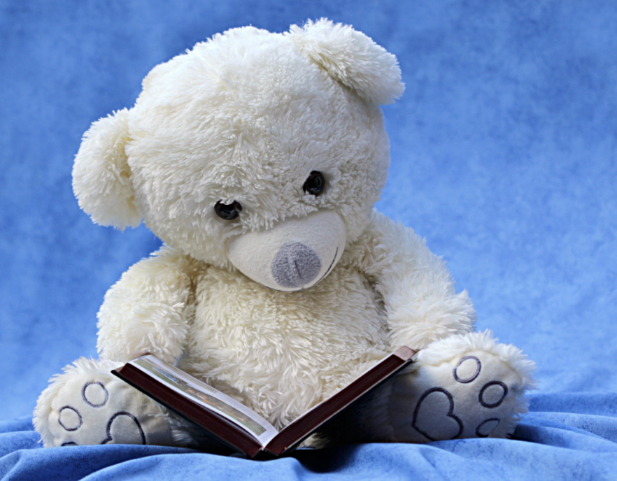 Story Time with Barb!