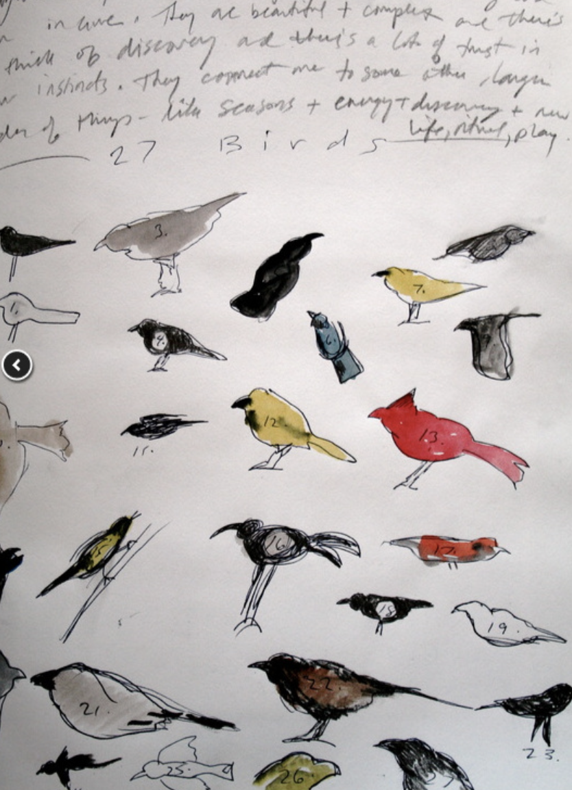 Drawing Nature, September 23 at 10 a.m.