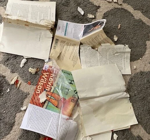 Most Delicious Book of 2019